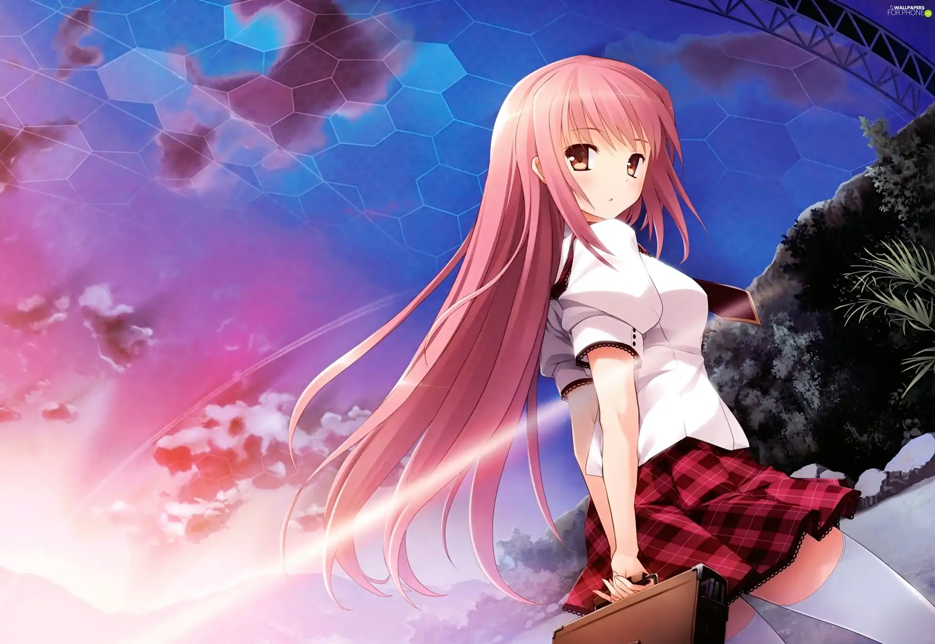 Anime, fantasy, briefcase, Manga, girl