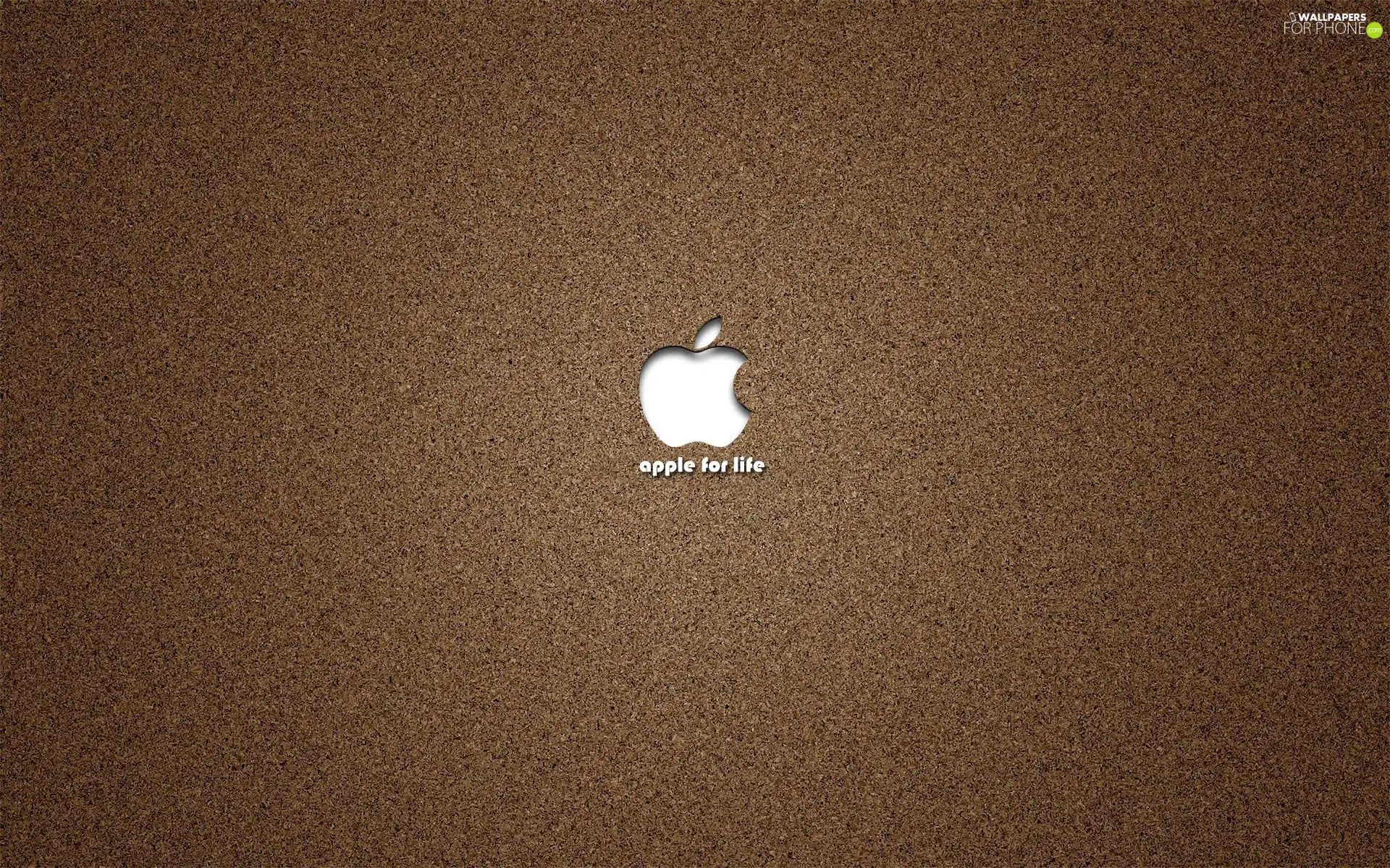 Components, Apple