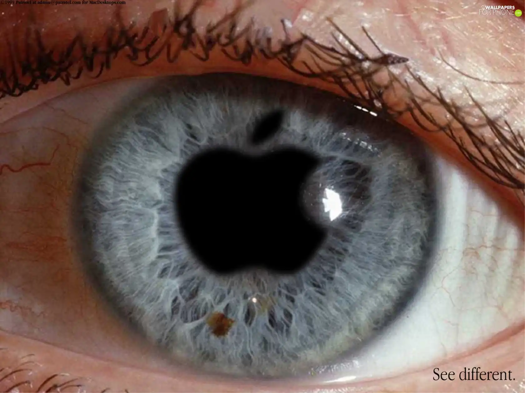 eye, Apple