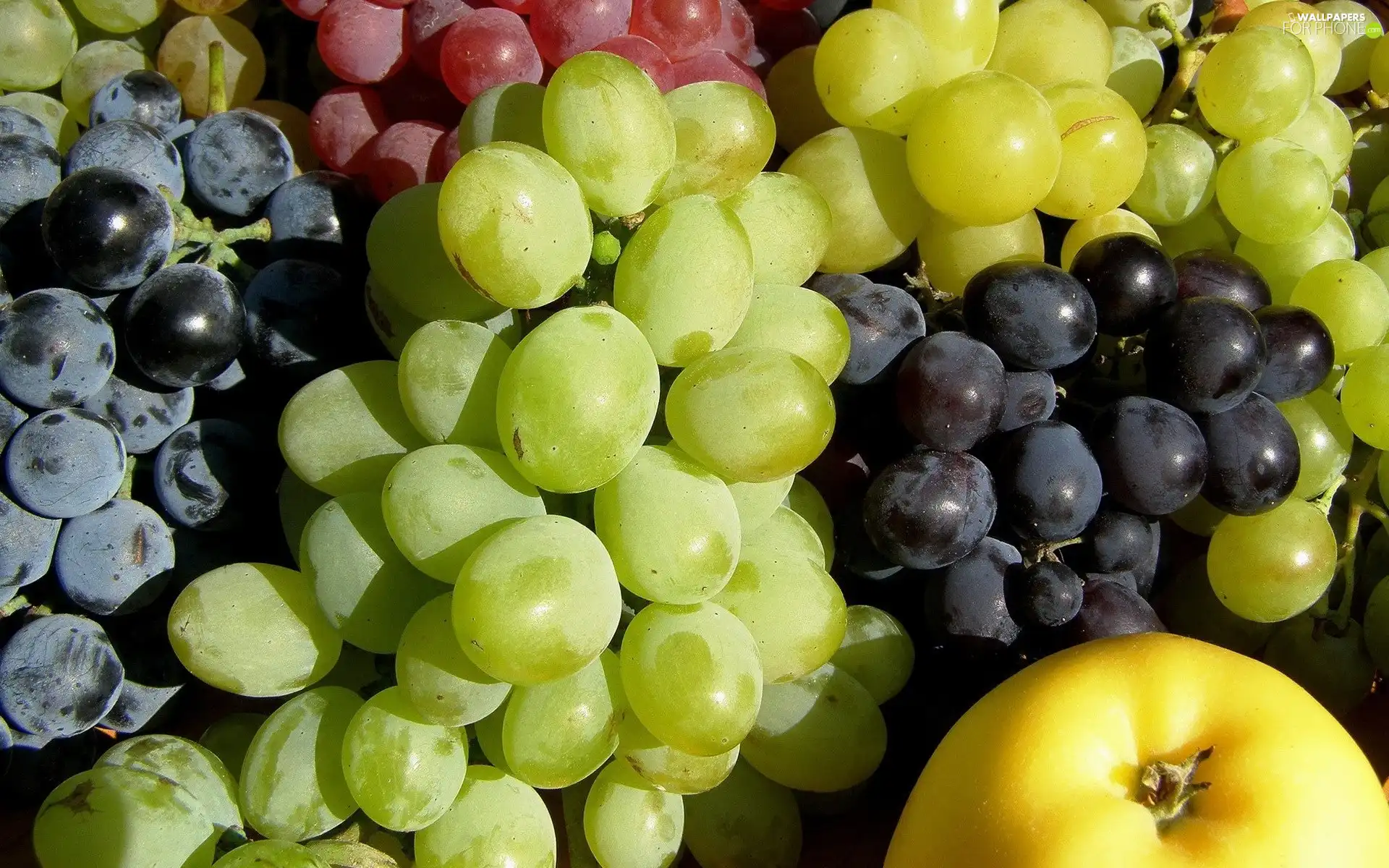 Grapes, Apple