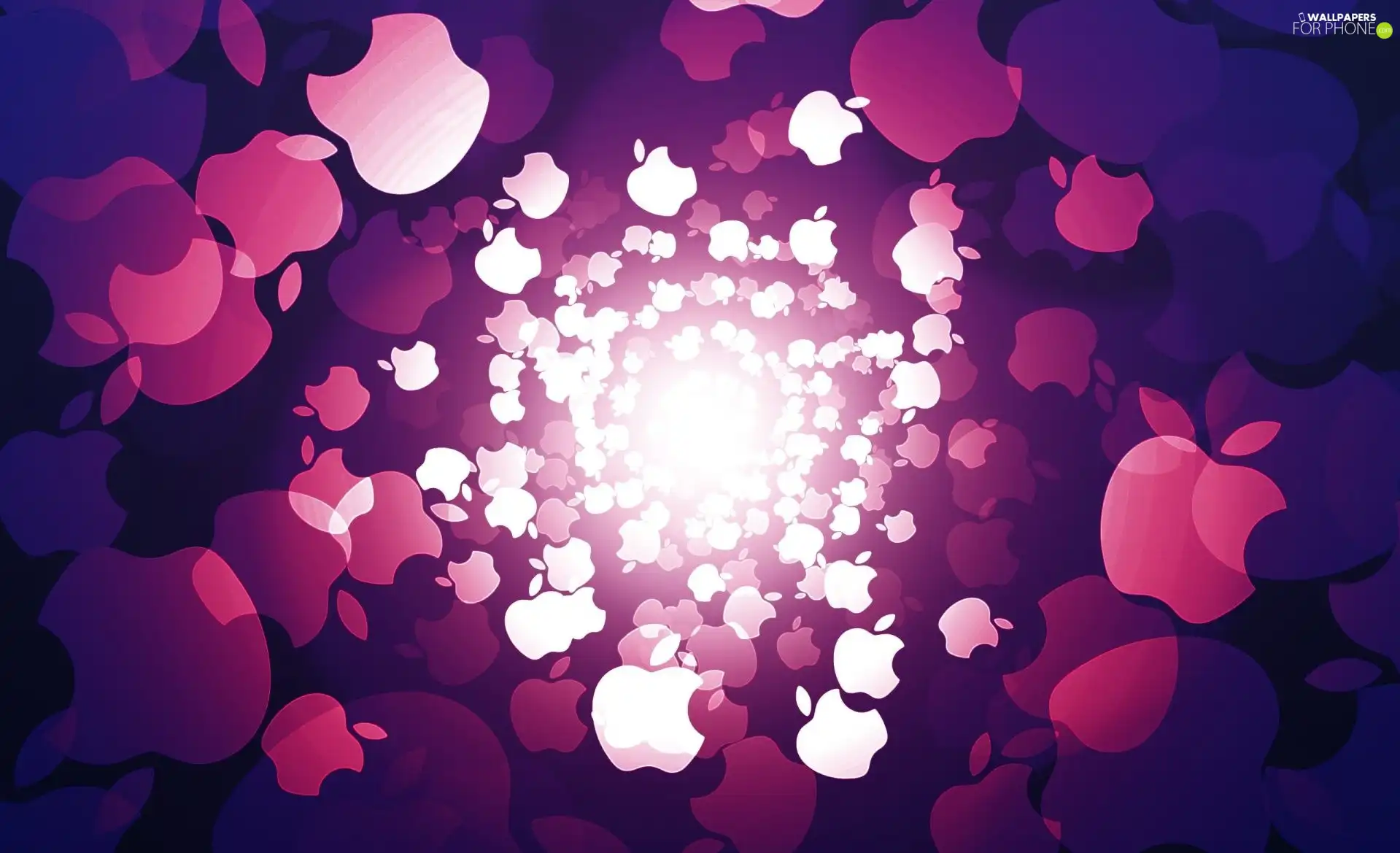 purple, Apple