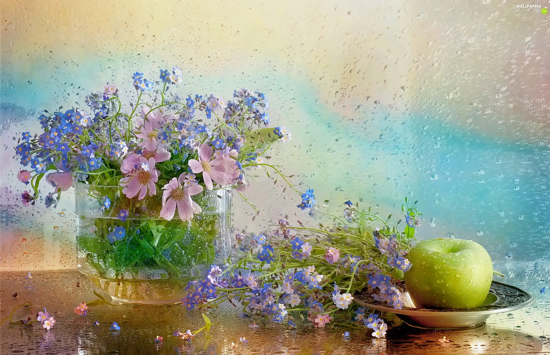 Cosmos, composition, Apple, Rain, Forget, Flowers