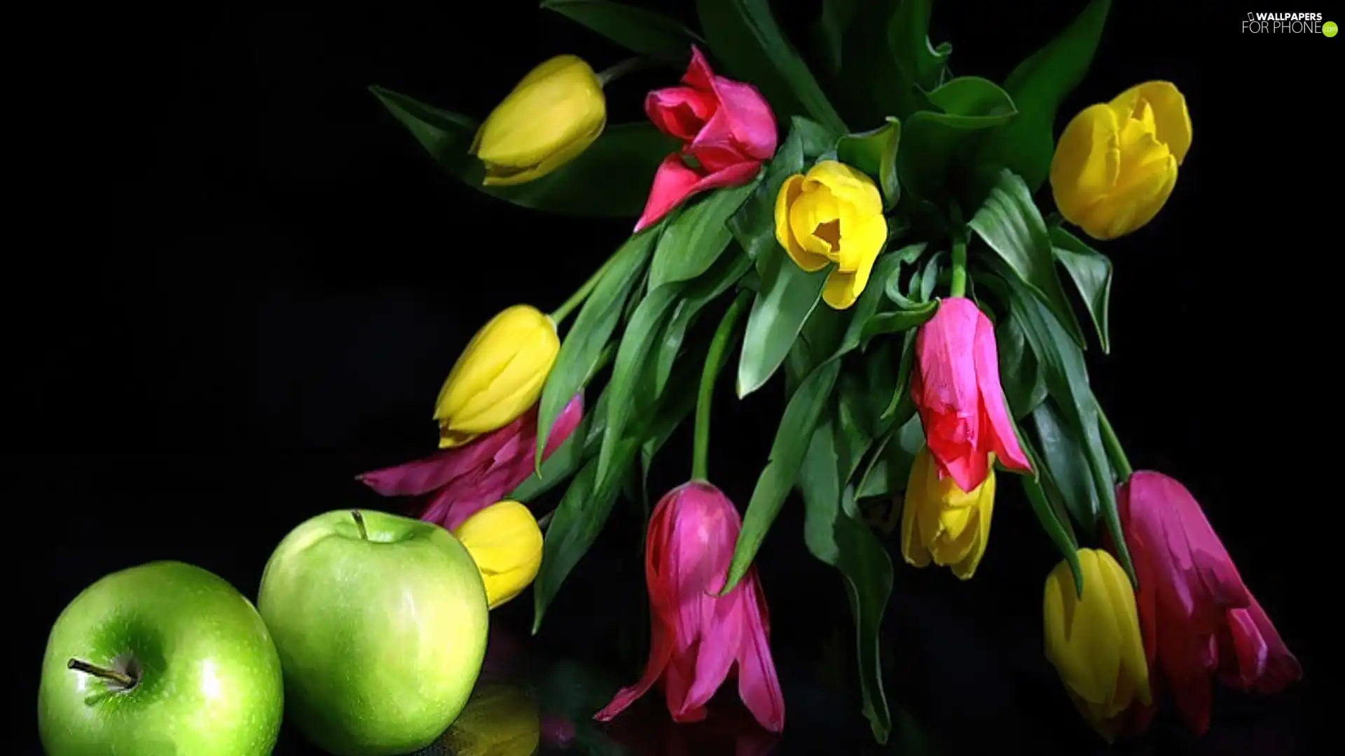 color, green ones, apples, Tulips