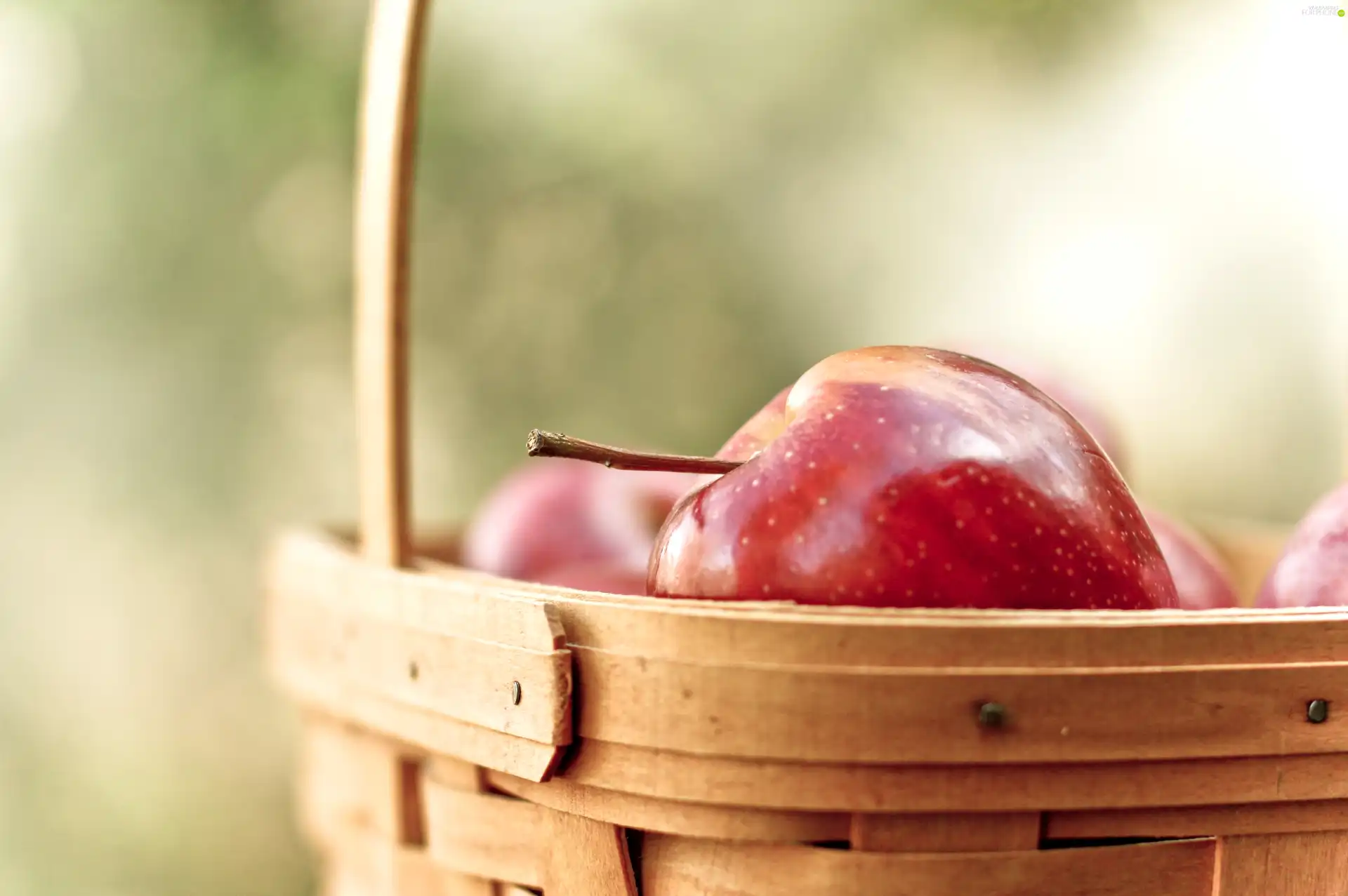 apples, basket, Red