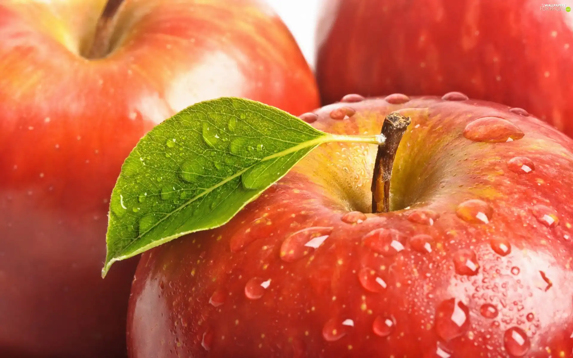 Red, apples