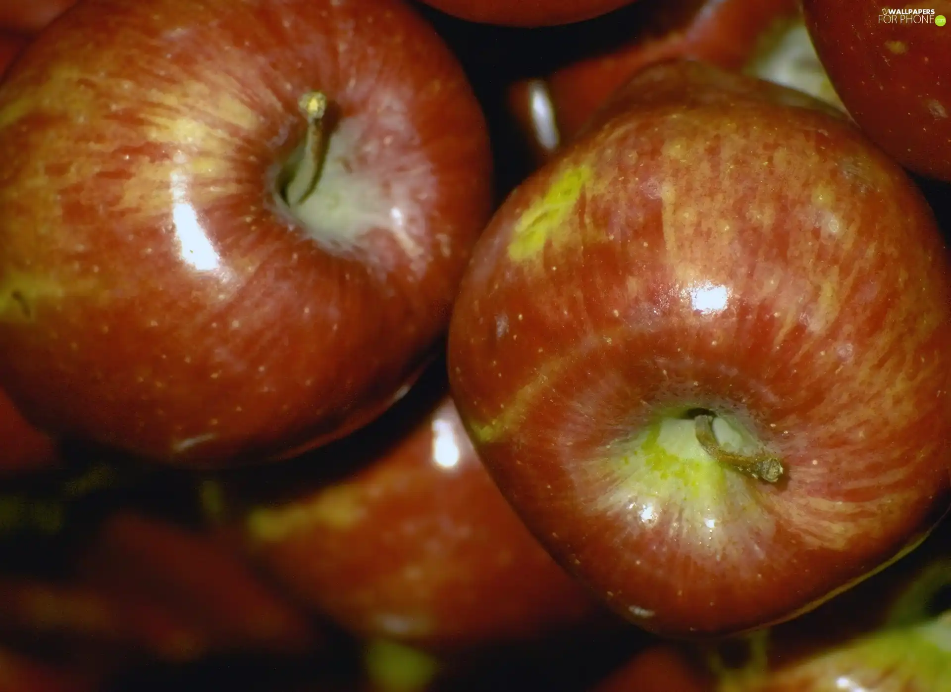 apples, browned, shiny