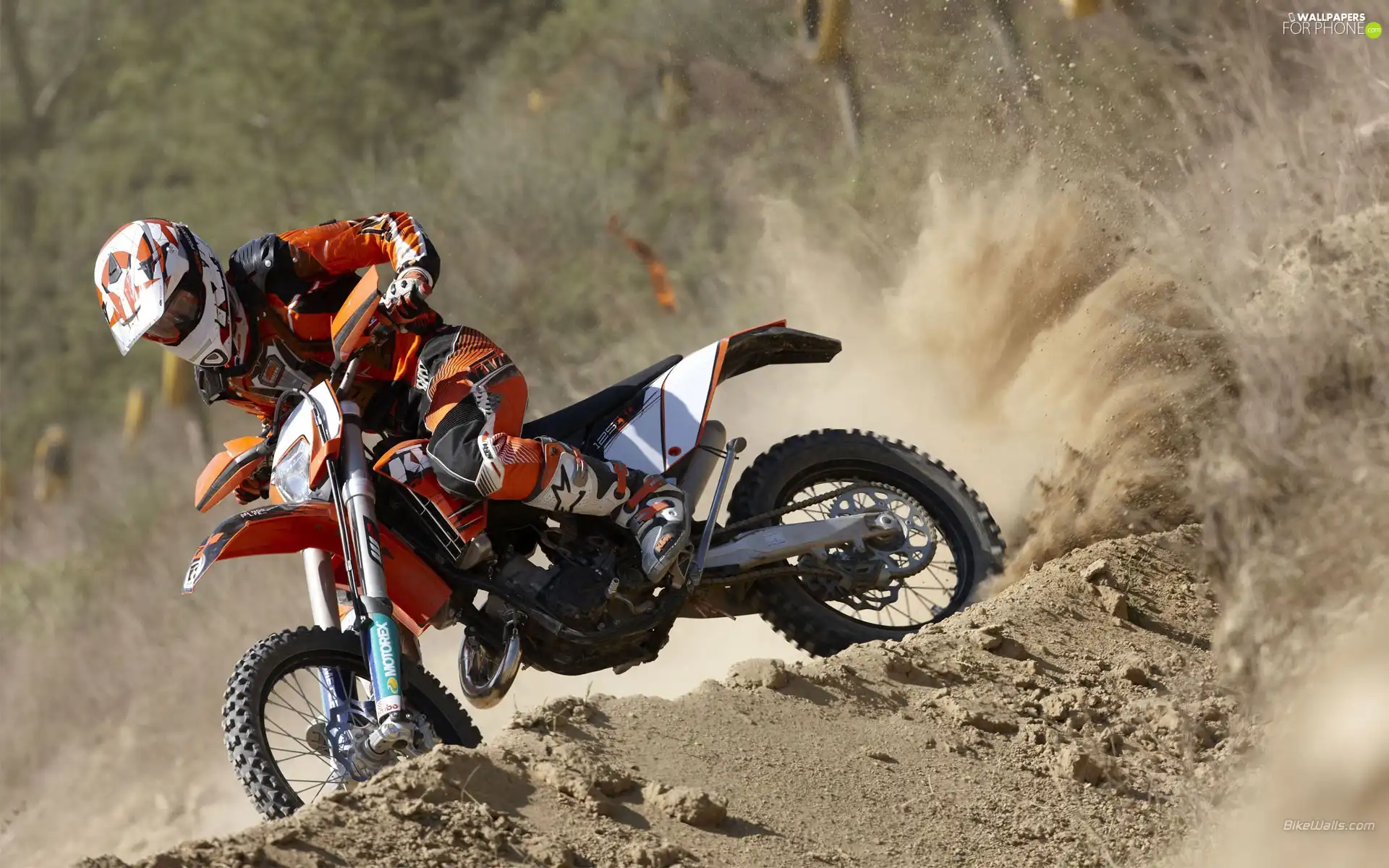 KTM 125 EXC, area