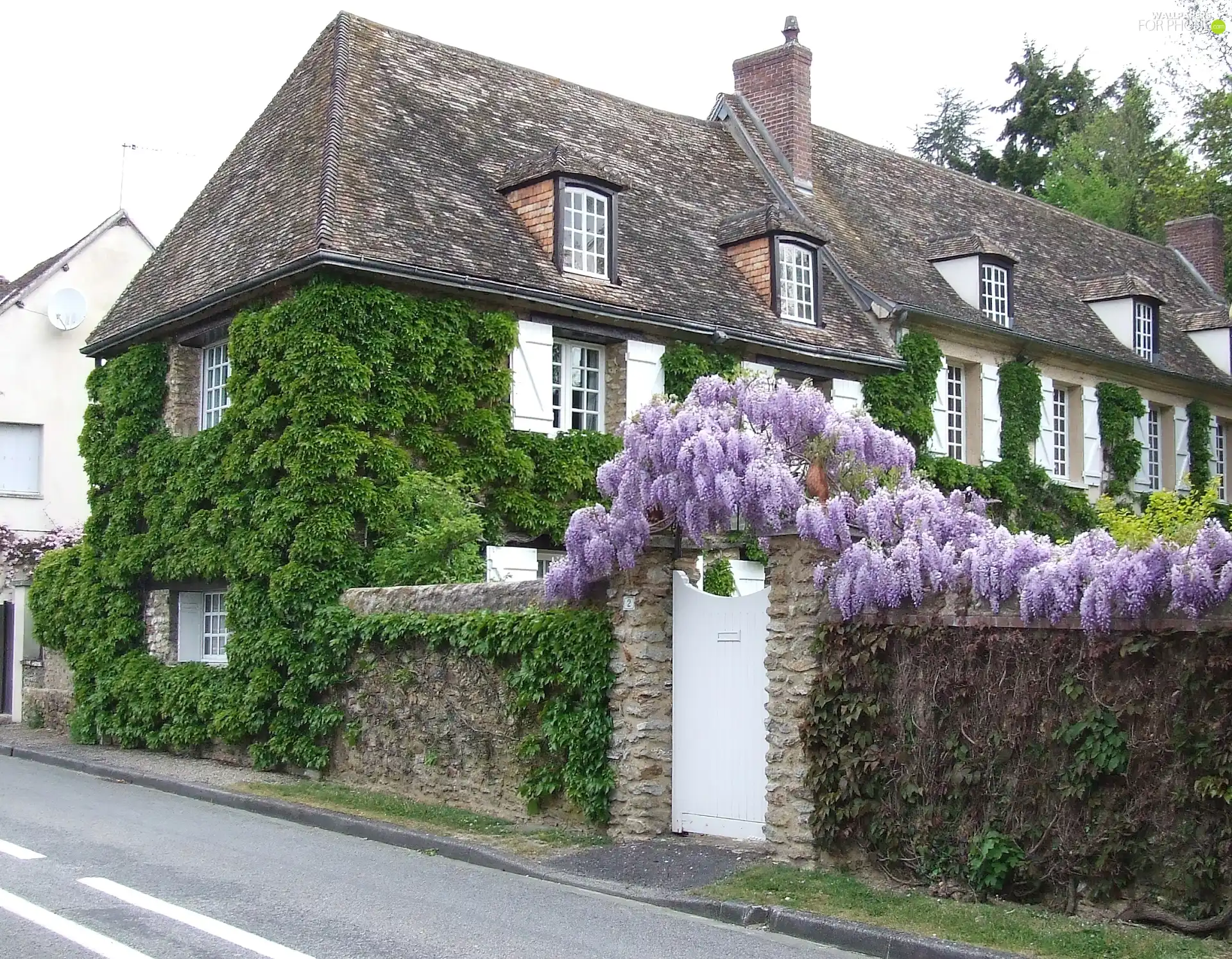 The Street, house, at