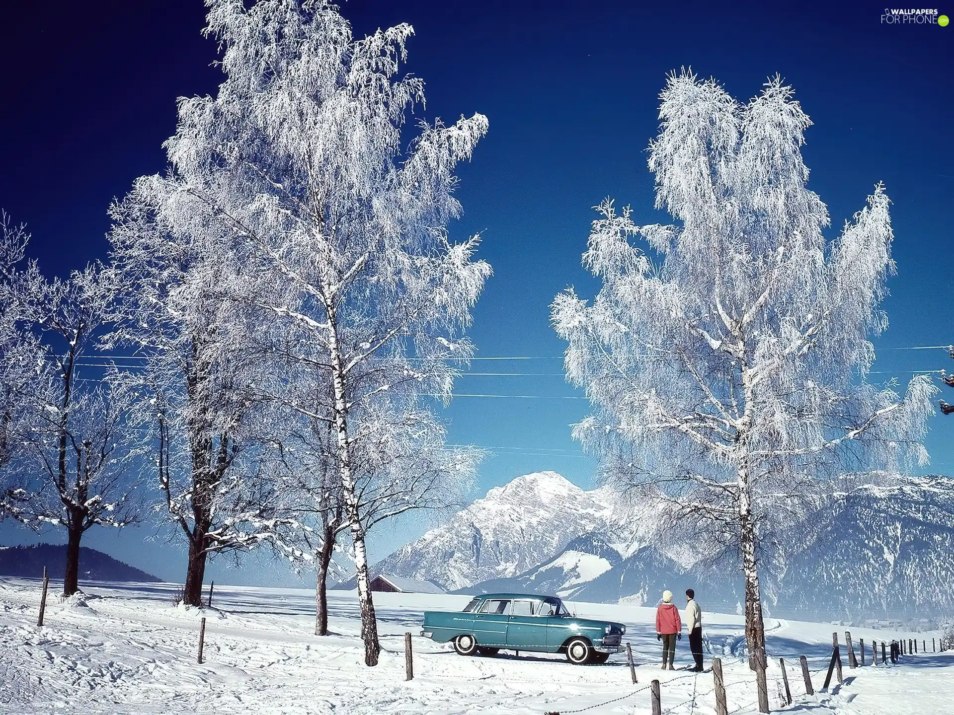 trees, mountains, Automobile, People, viewes, Snowy