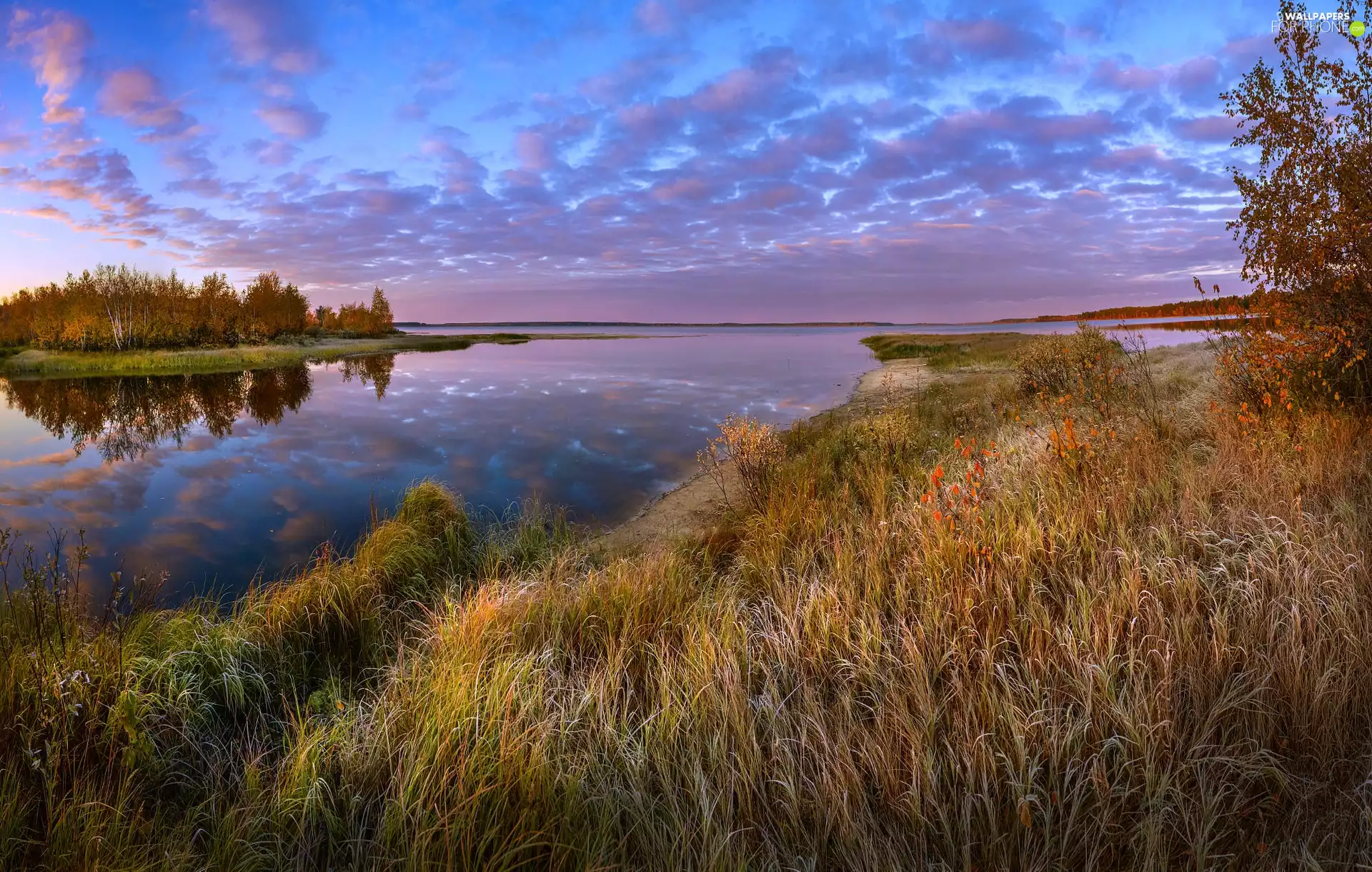 autumn, lake, grass, trees, clouds, reflection, blue, Sky, viewes