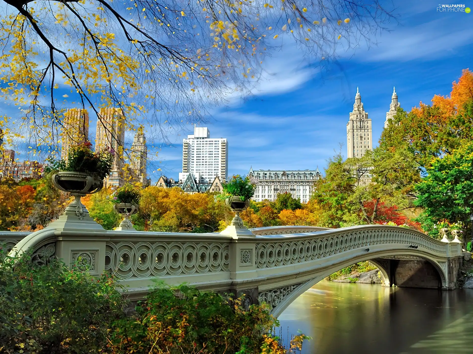 bridge, autumn