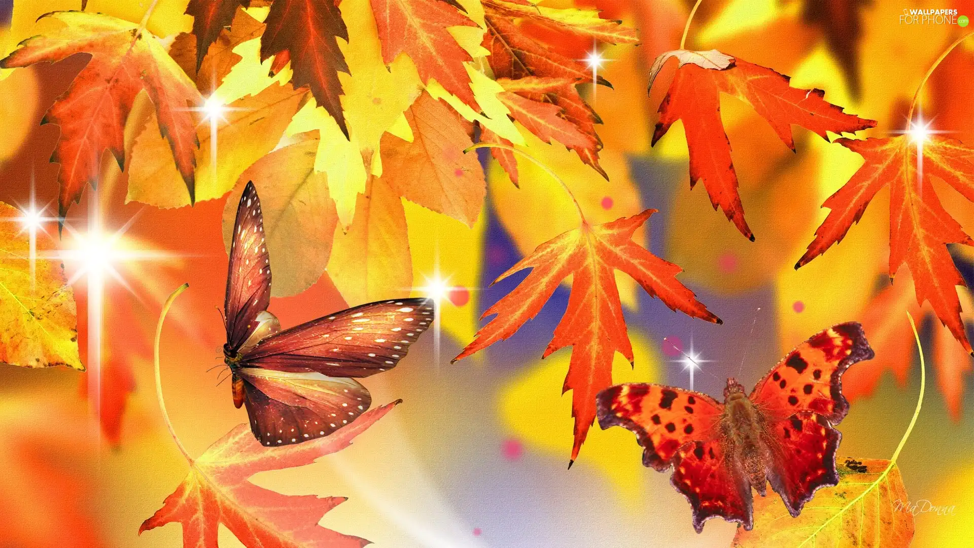 autumn, butterflies, Yellow, Leaf, red