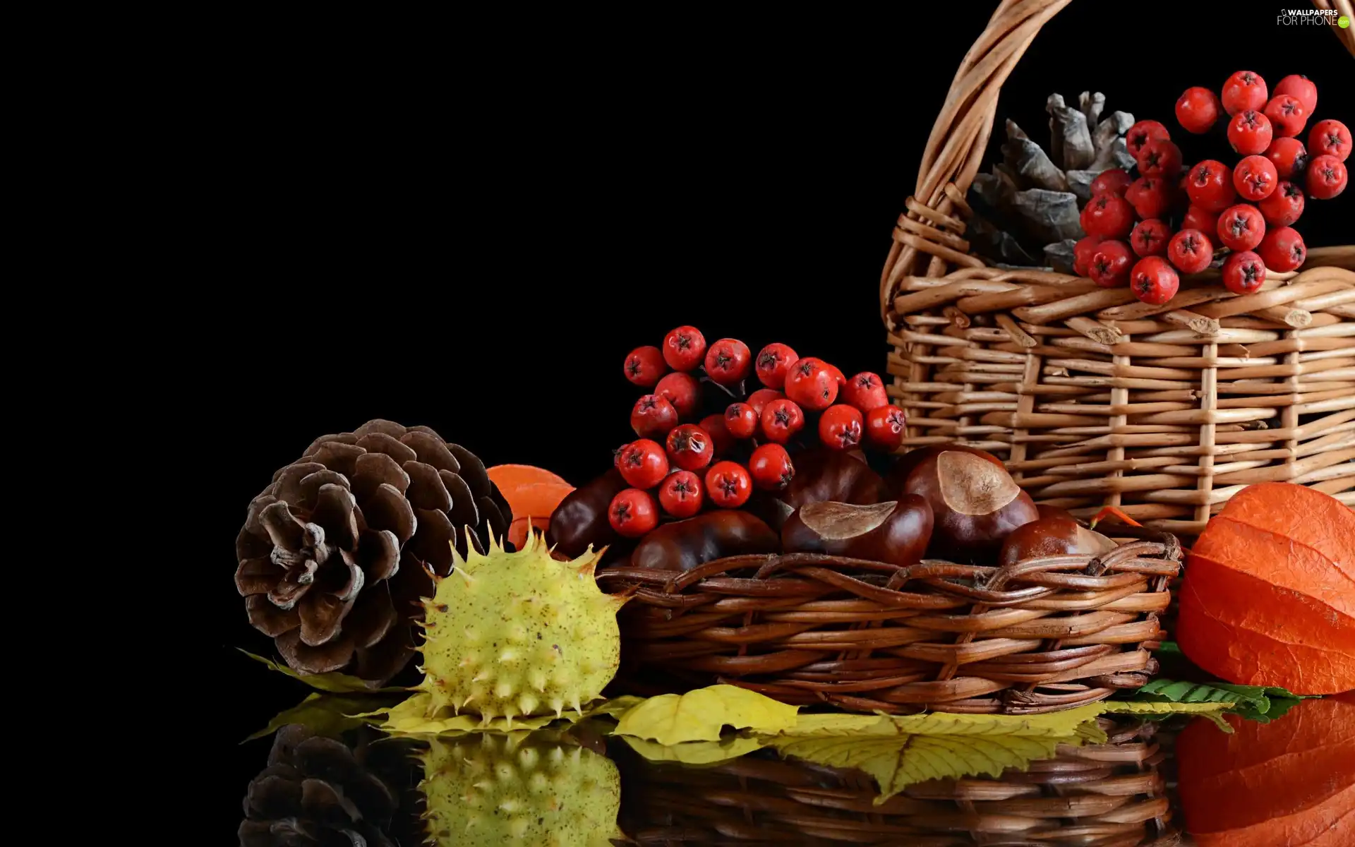 Baskets, Plant, harvest, cones, chestnuts, Autumn, composition
