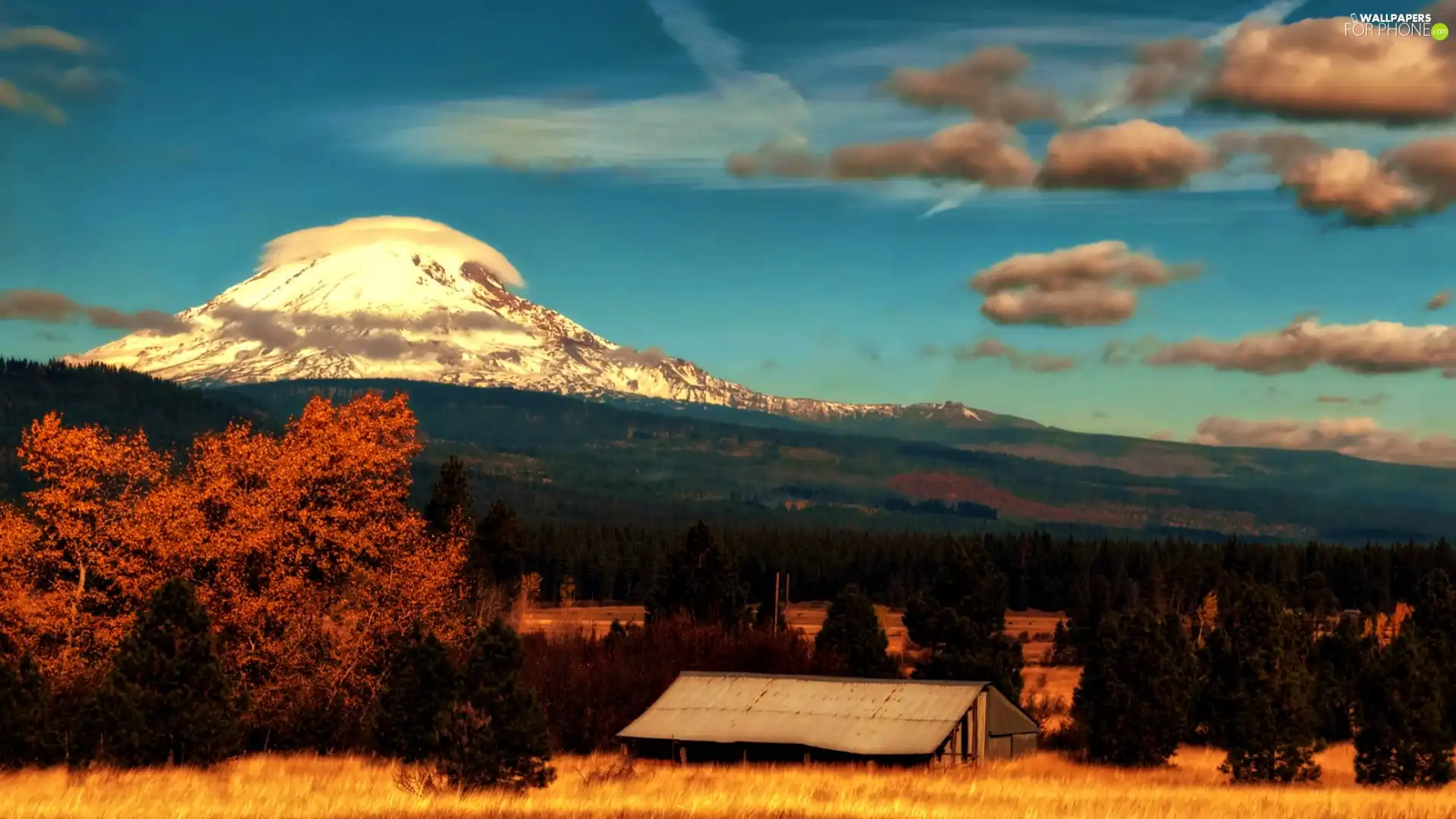 autumn, Mountains, forest