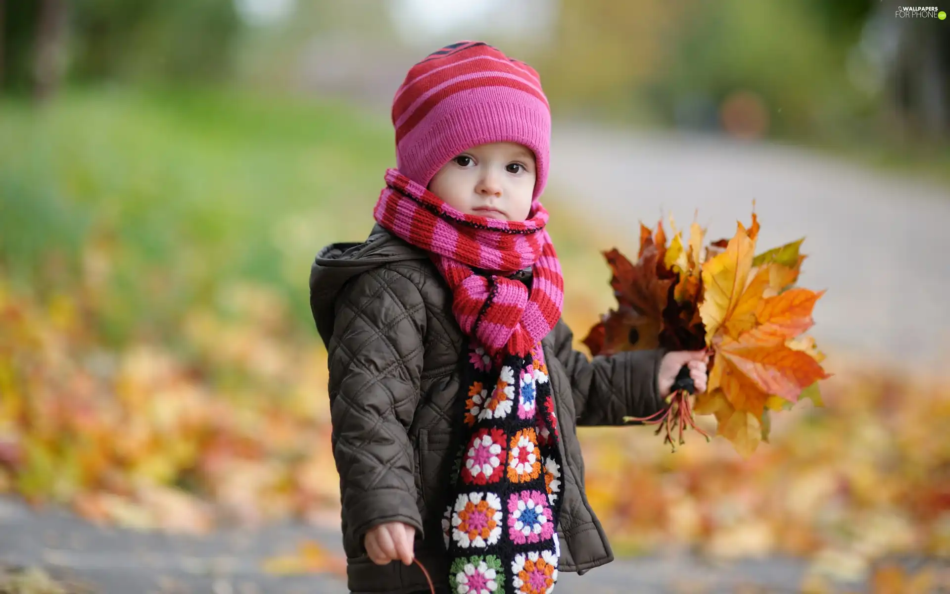 autumn, girl, Leaf