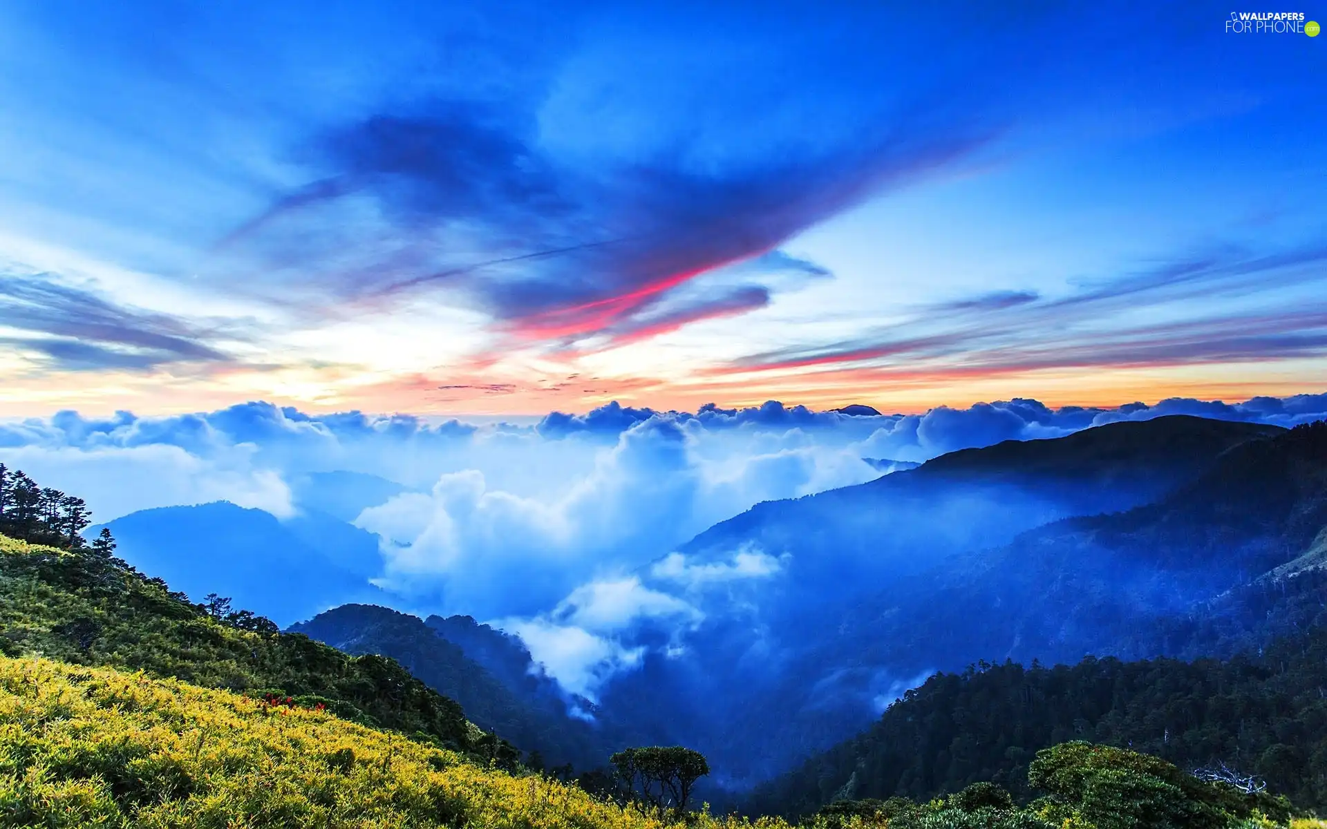 Mountains, clouds, autumn, woods