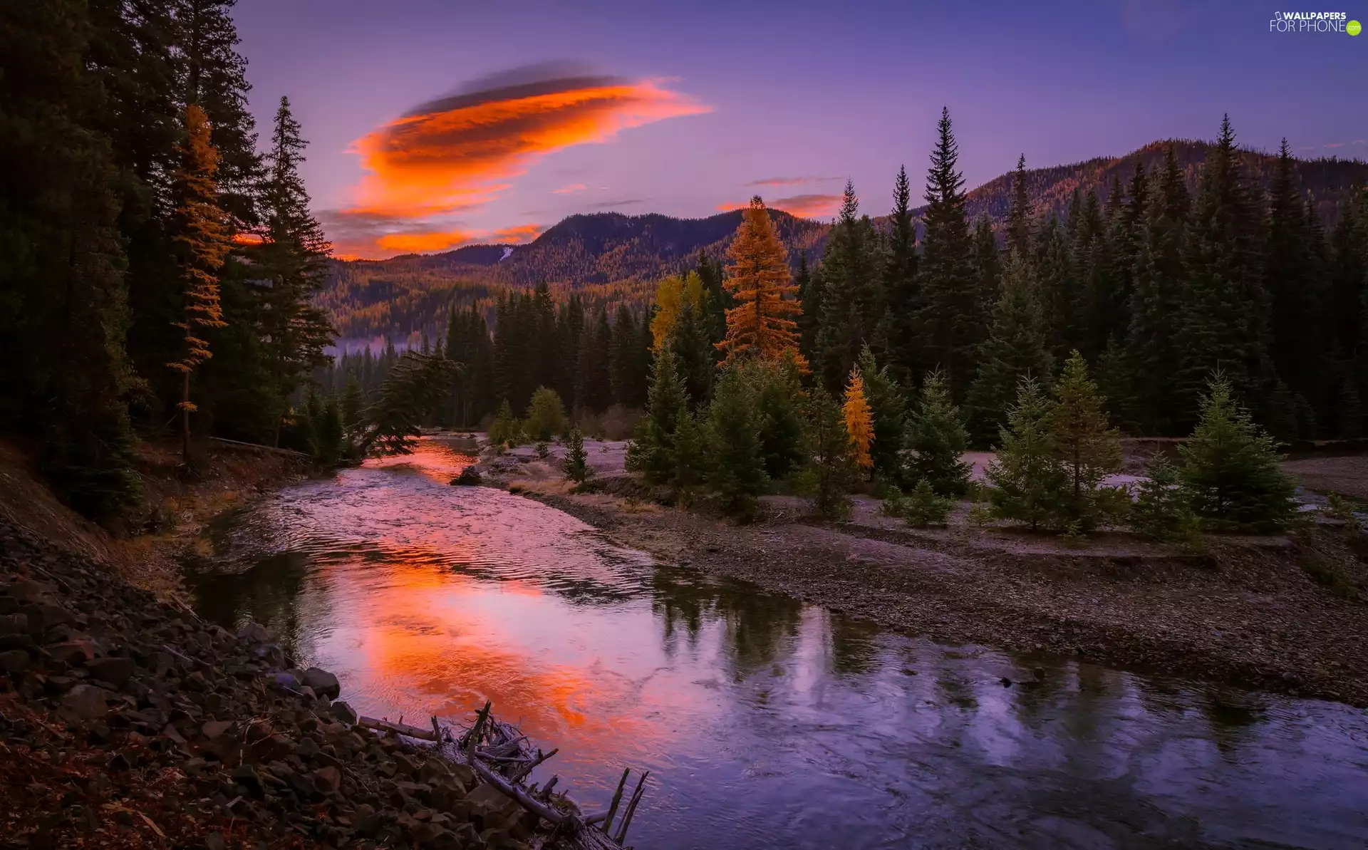 trees, River, forest, autumn, viewes, Mountains