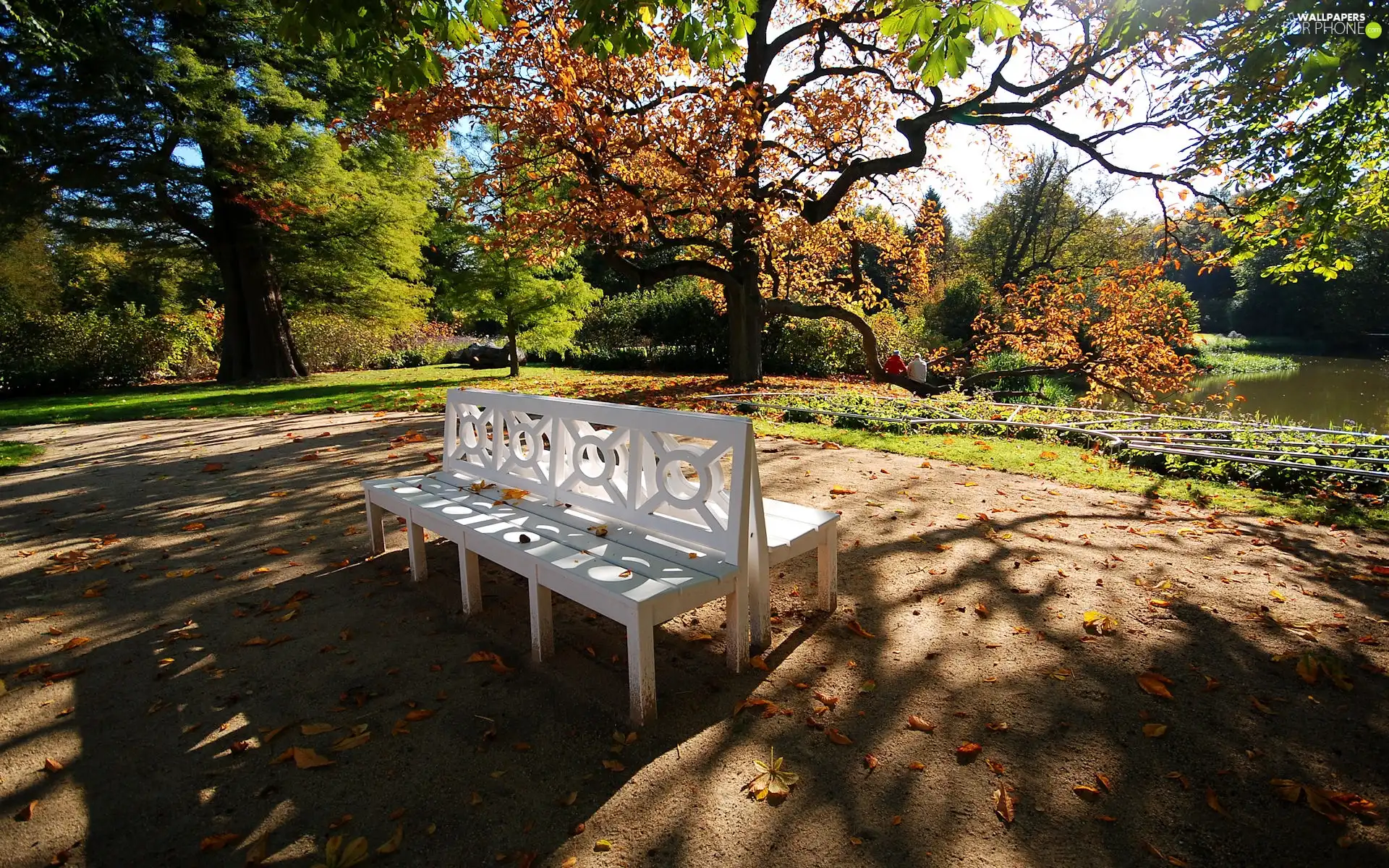 Bench, Park Muzakowski, autumn