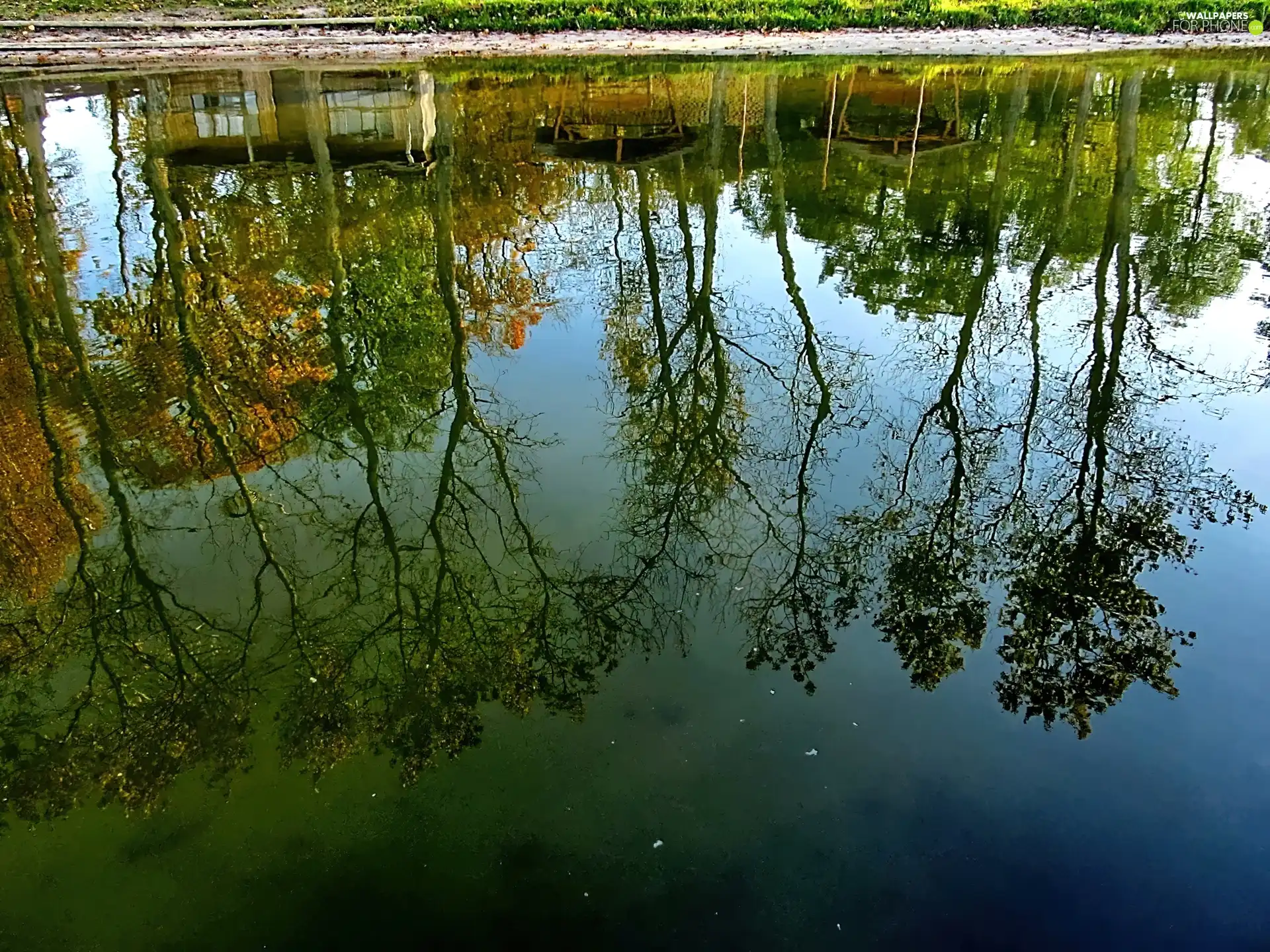 autumn, reflection, trees, viewes, lake