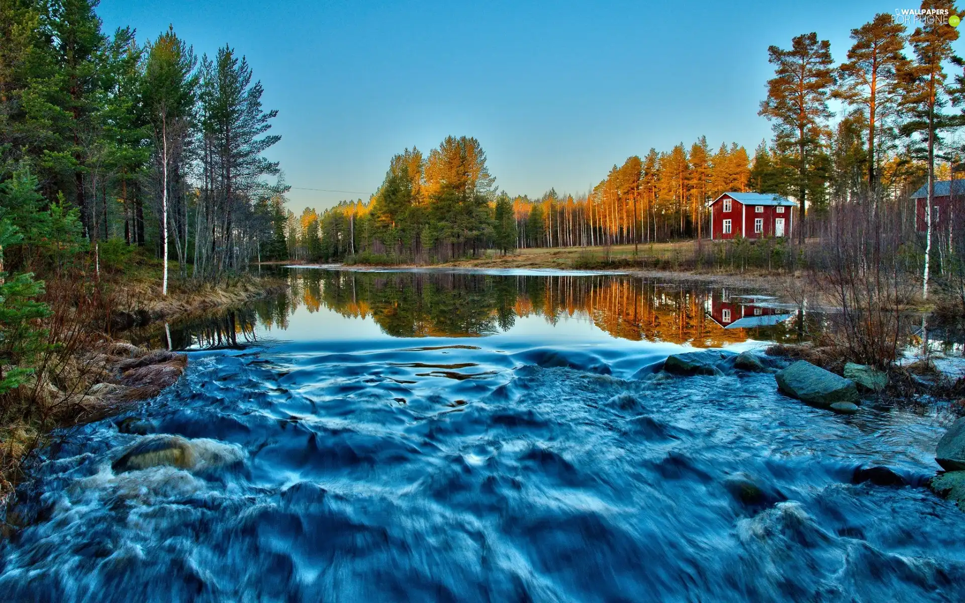 River, Houses, autumn, woods