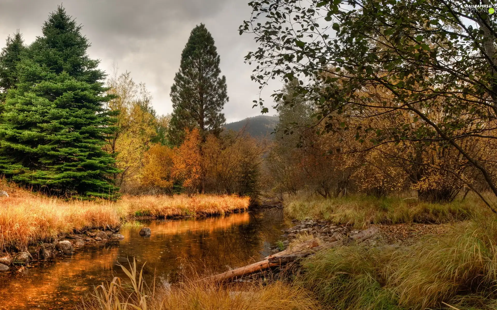 River, Mountains, autumn, woods