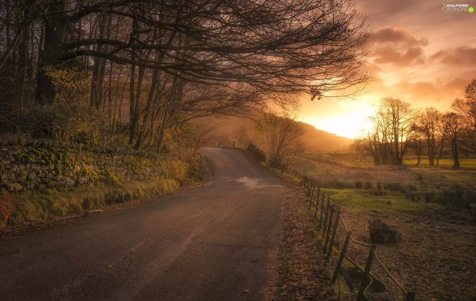 Stones, Great Sunsets, viewes, wall, Way, trees, autumn