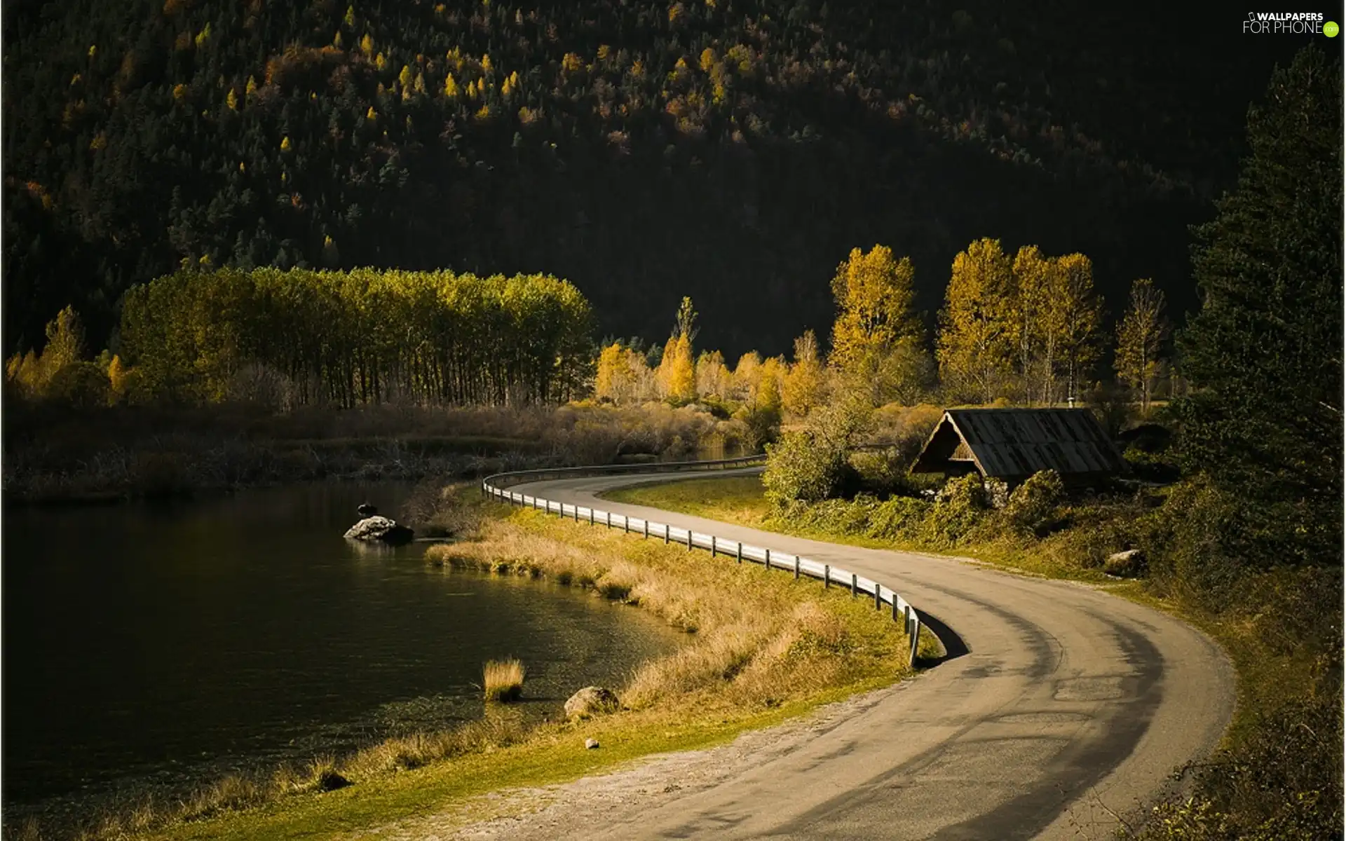 Way, forest, autumn, River