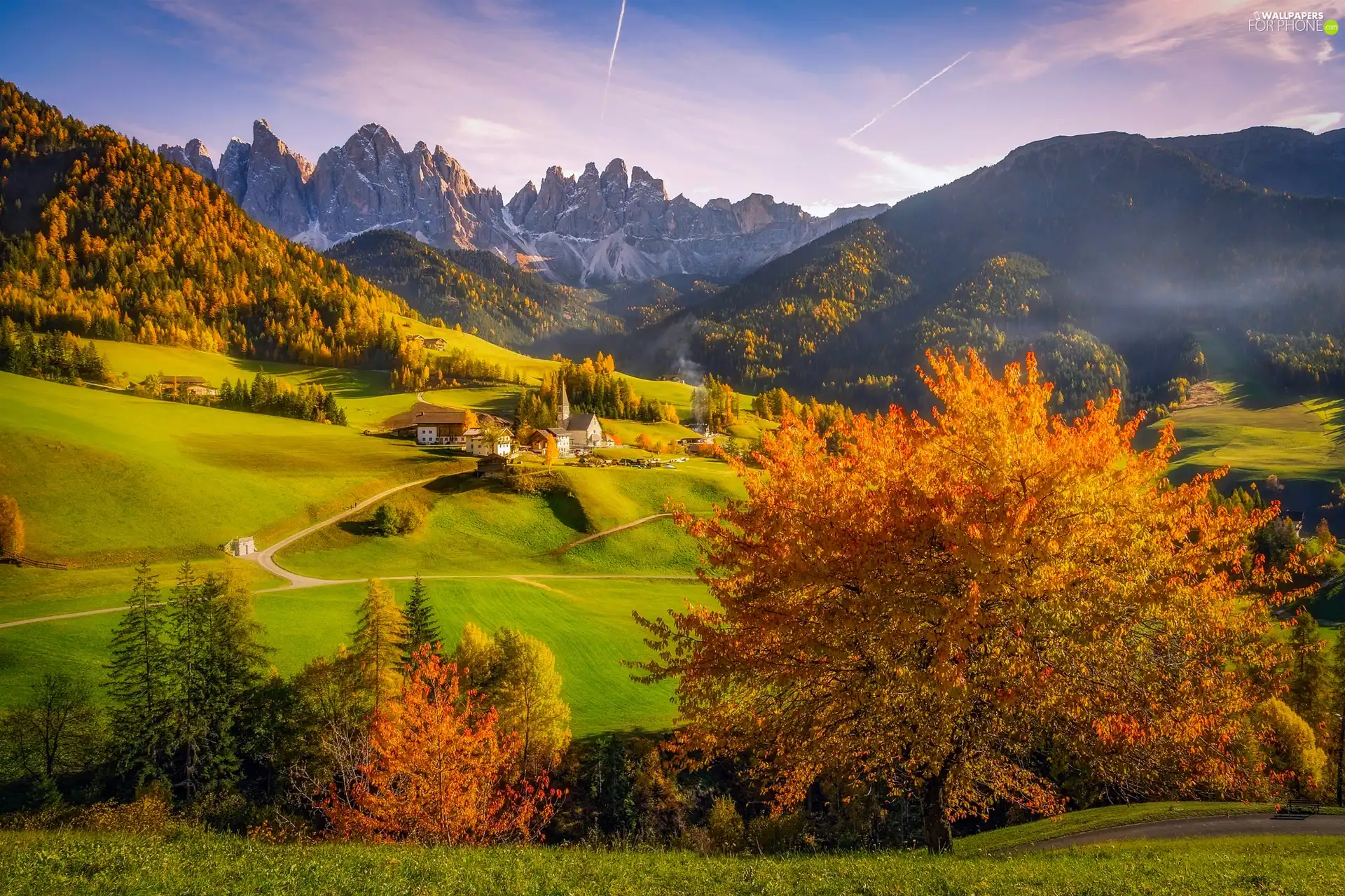 trees, woods, viewes, Mountains, Village of Santa Maddalena, Houses, autumn, Italy, Church, Massif Odle, Val di Funes Valley, Dolomites