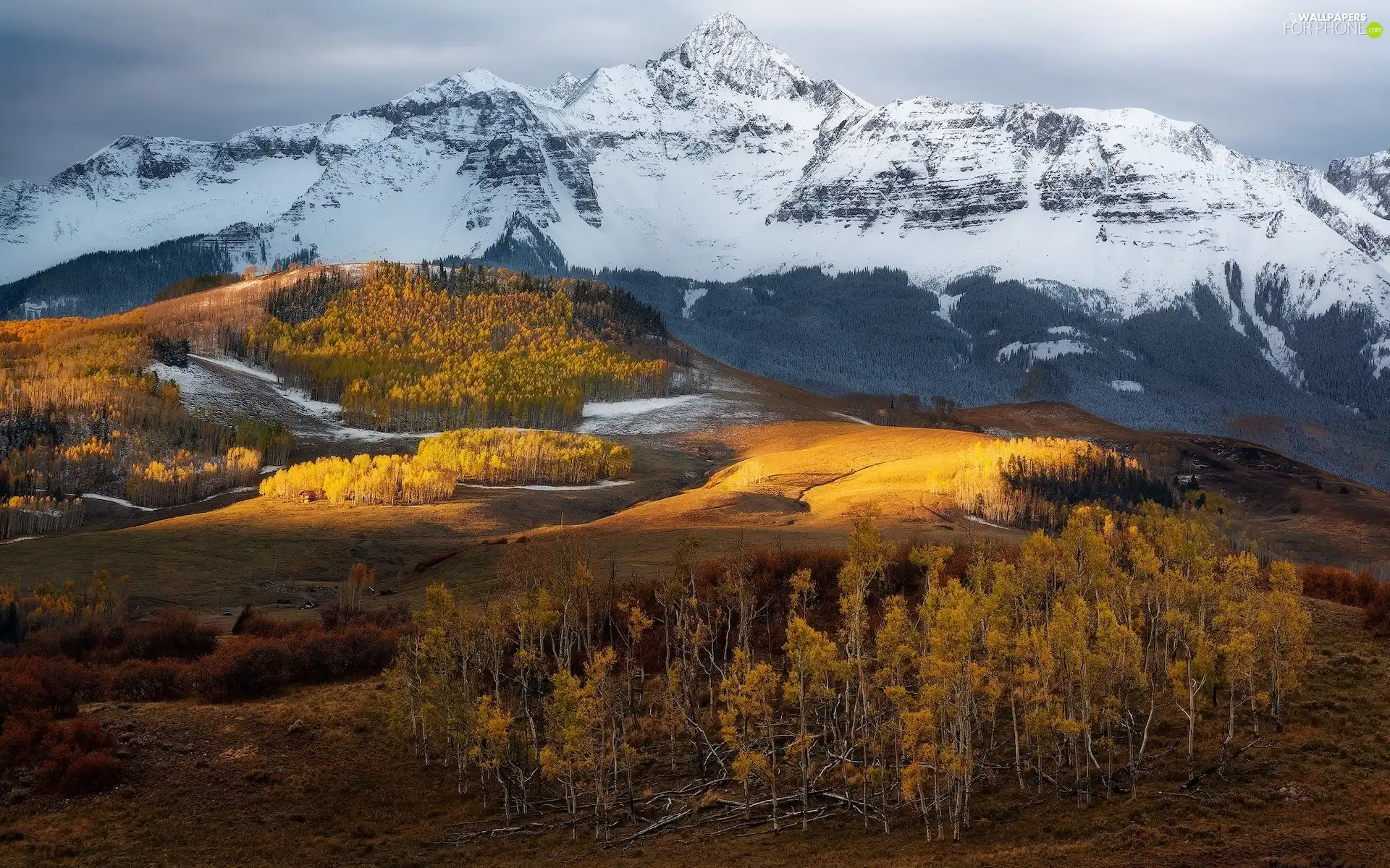 autumn, Colorado, trees, rocky mountains, The United States, woods, viewes