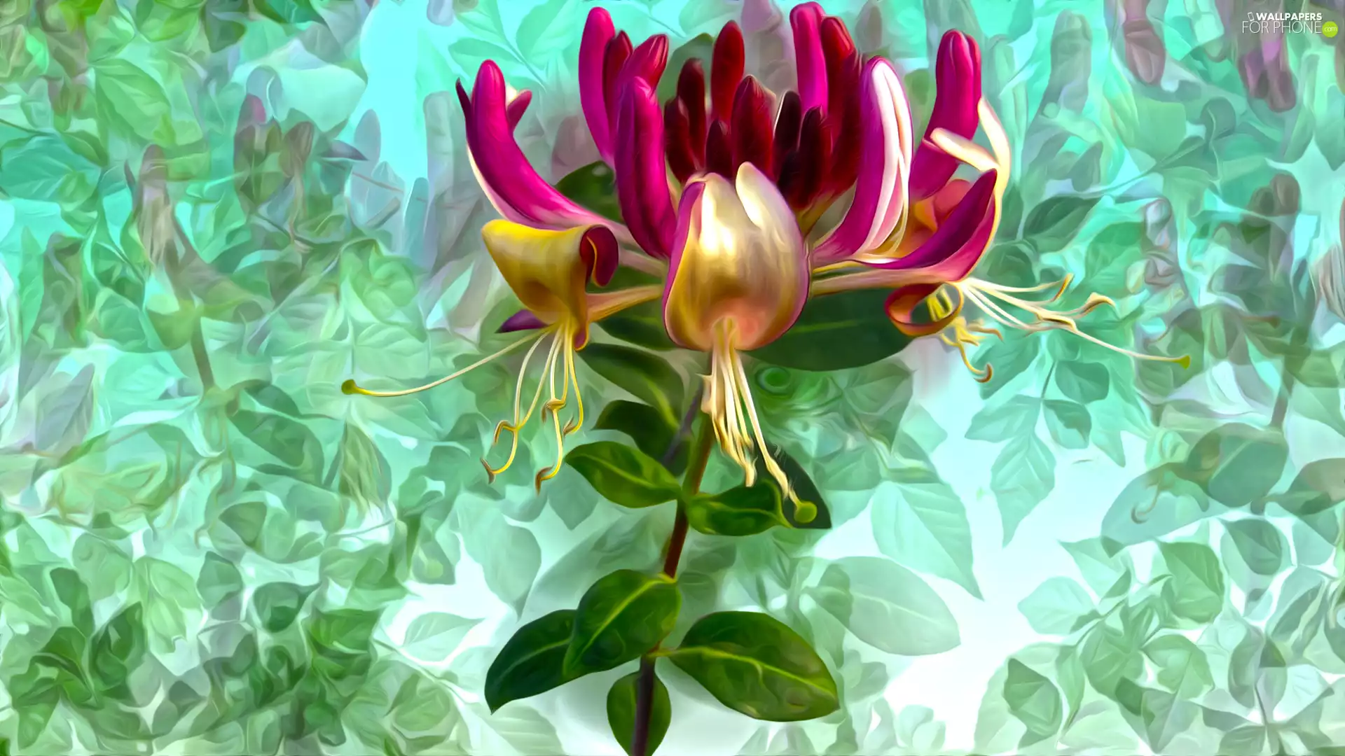 Green Background, Colourfull Flowers, graphics