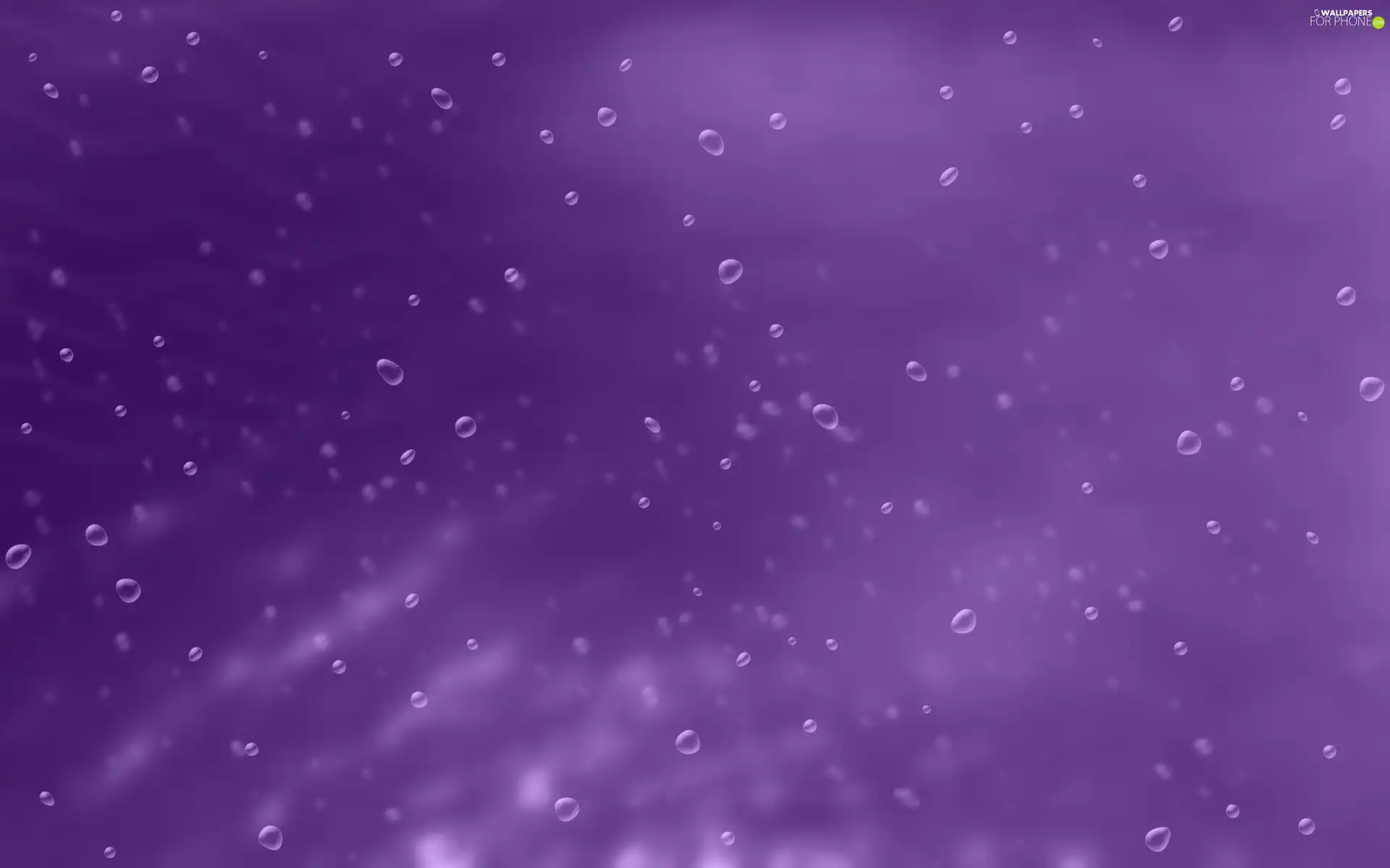 drops, purple, background, water