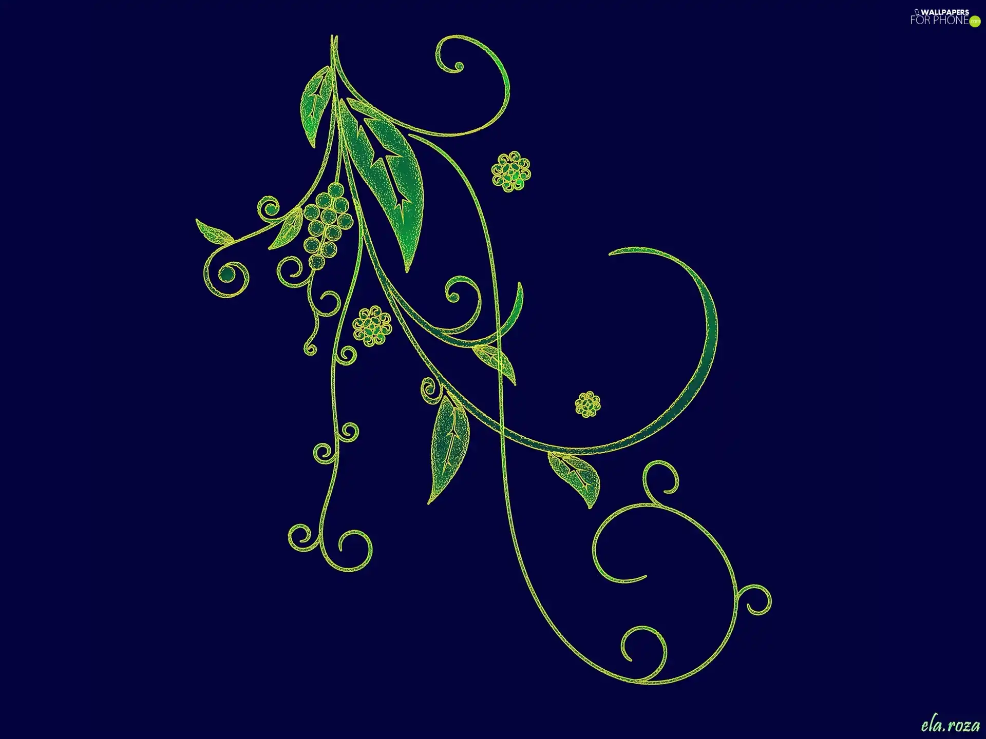 background, ornament, floral