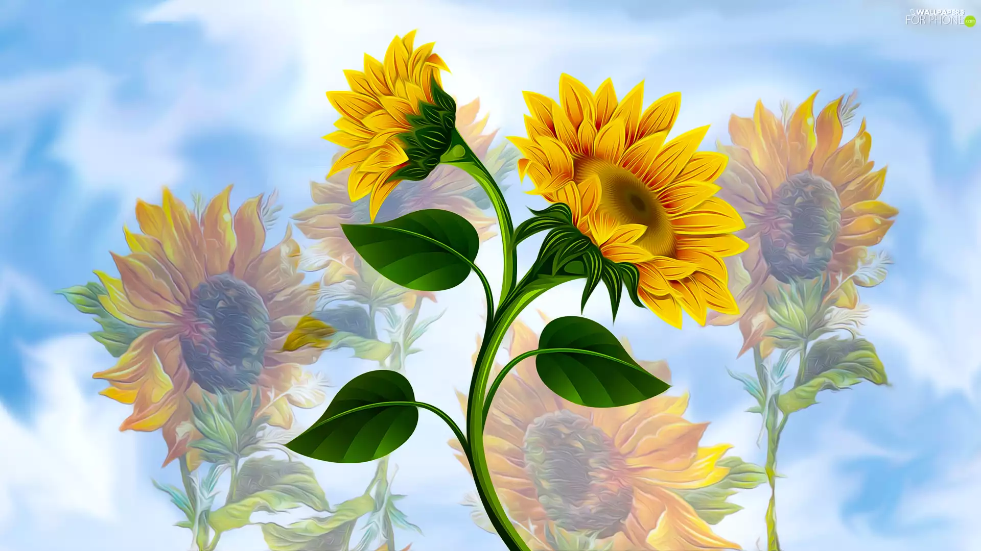 blue background, Nice sunflowers, 2D