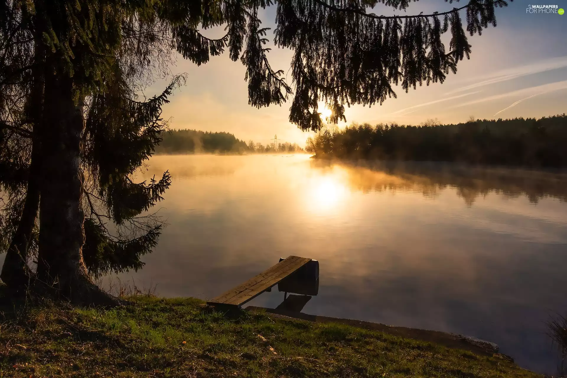 Baden-Württemberg, Germany, viewes, Sunrise, trees, Hufingen, Riedsee Lake, Platform