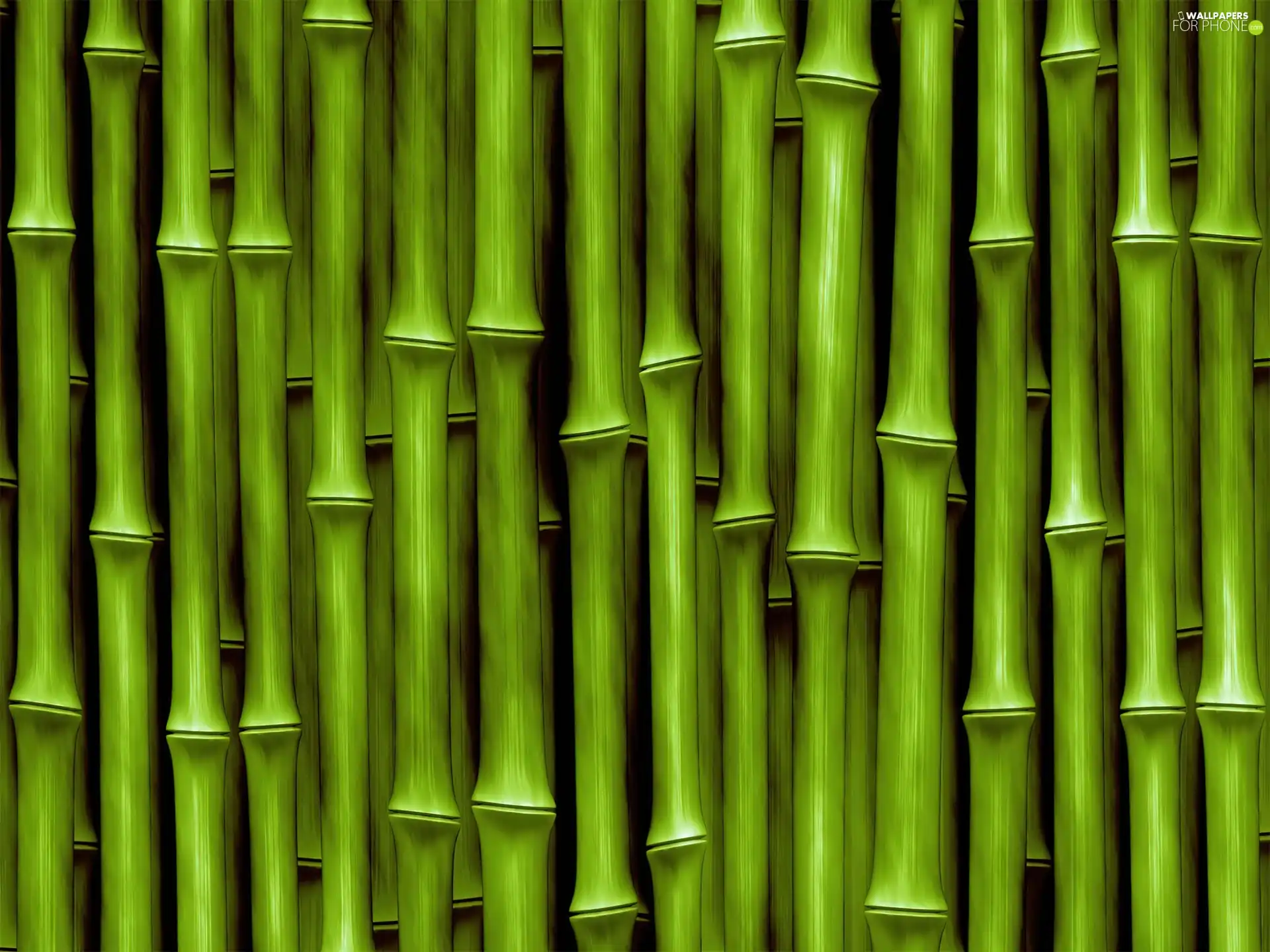 bamboo