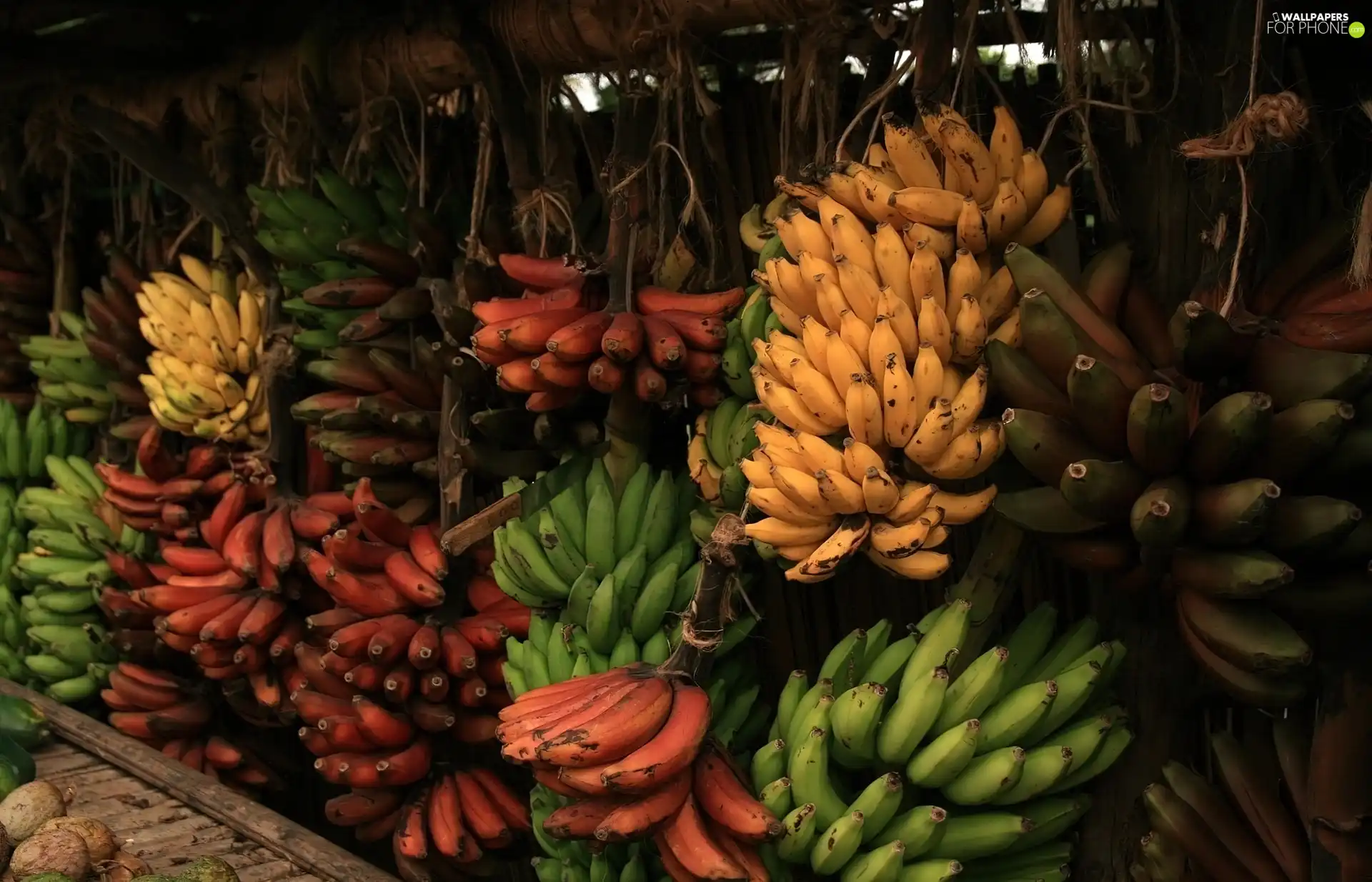 bunches, bananas