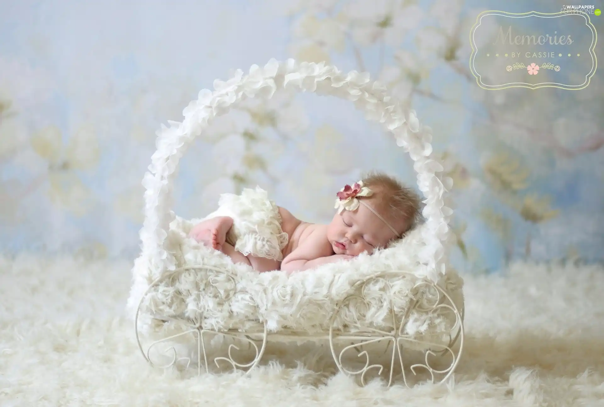 Band, basket, small, girl, the sleeping