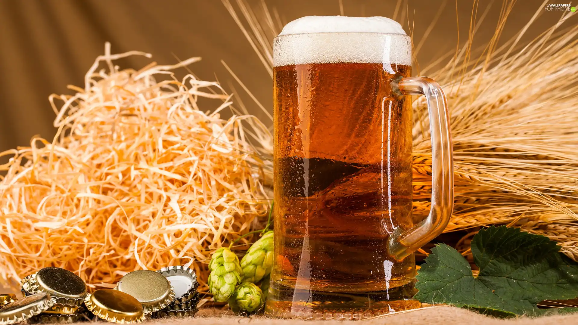 barley, hop, mug, caps, Beer
