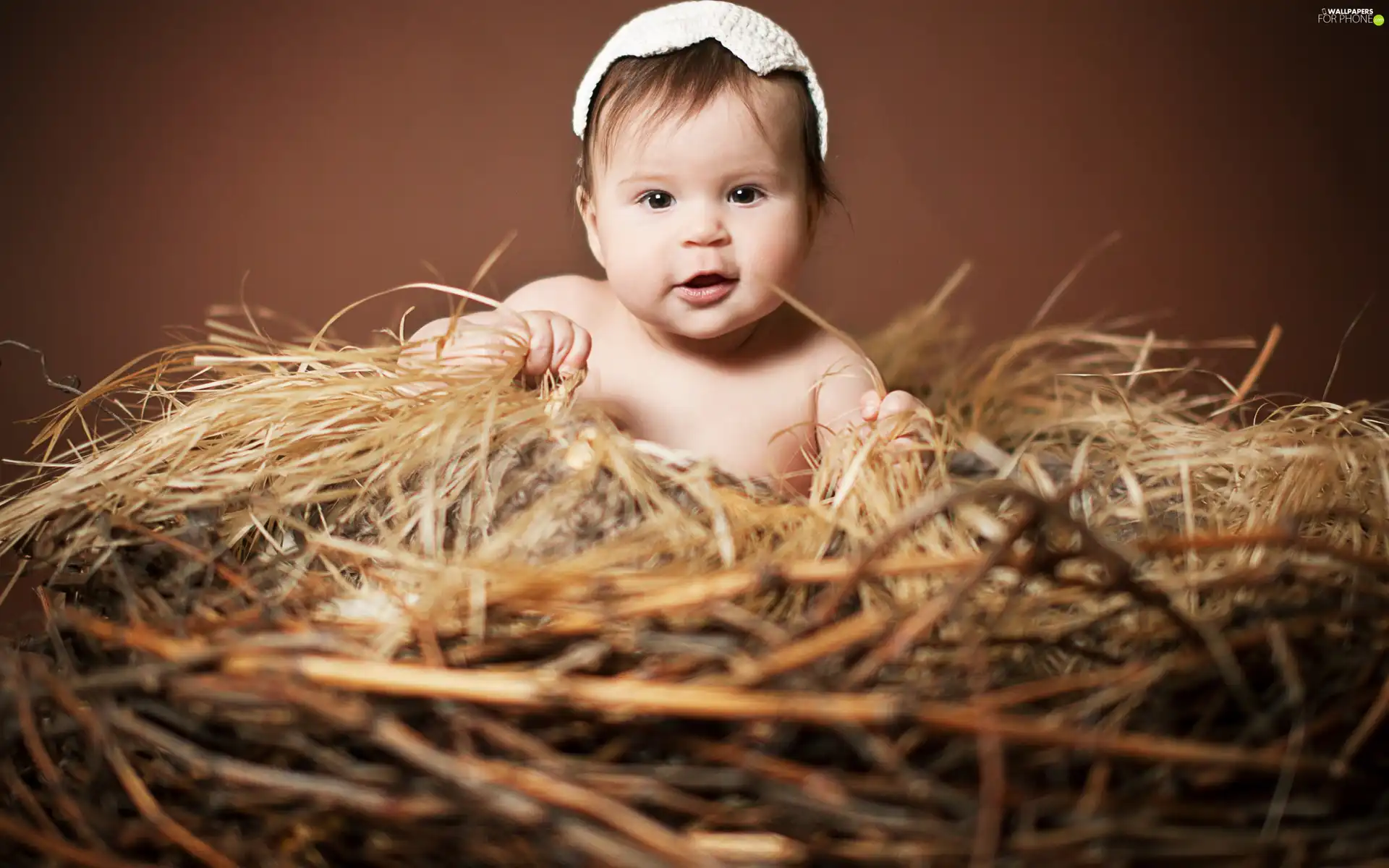 basket, Kid, Bonnet