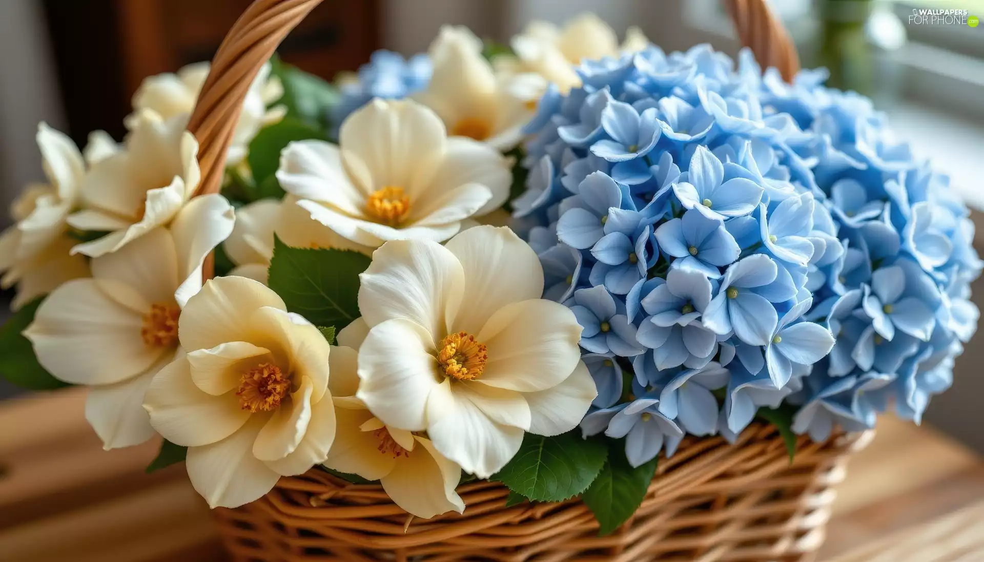 Blue, cream, wicker, basket, hydrangea, camellia