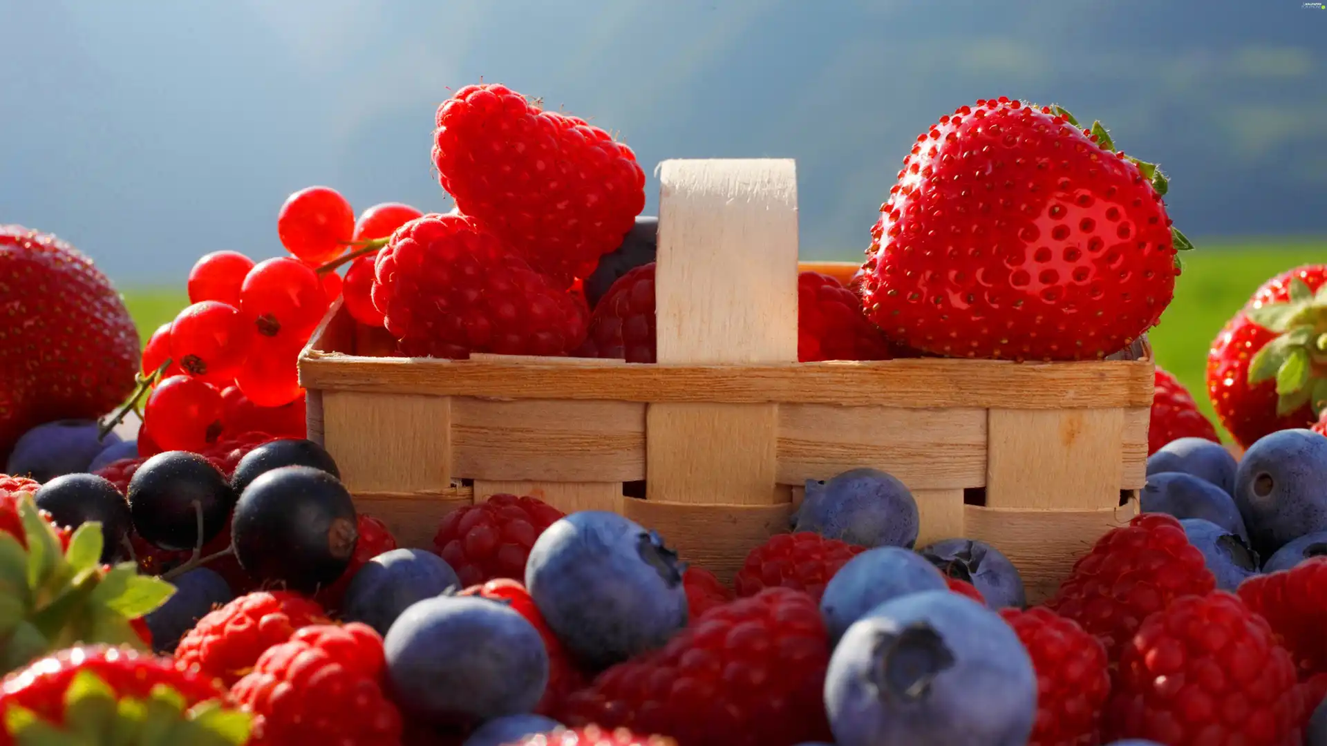 Fruits, basket