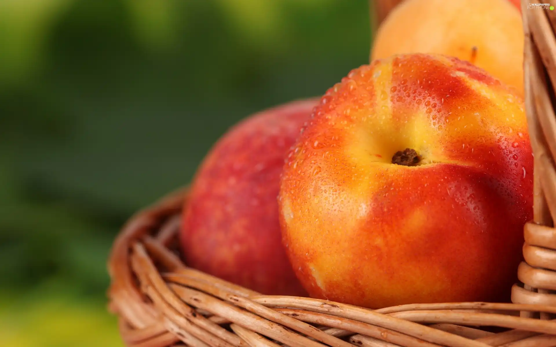 nectarines, basket