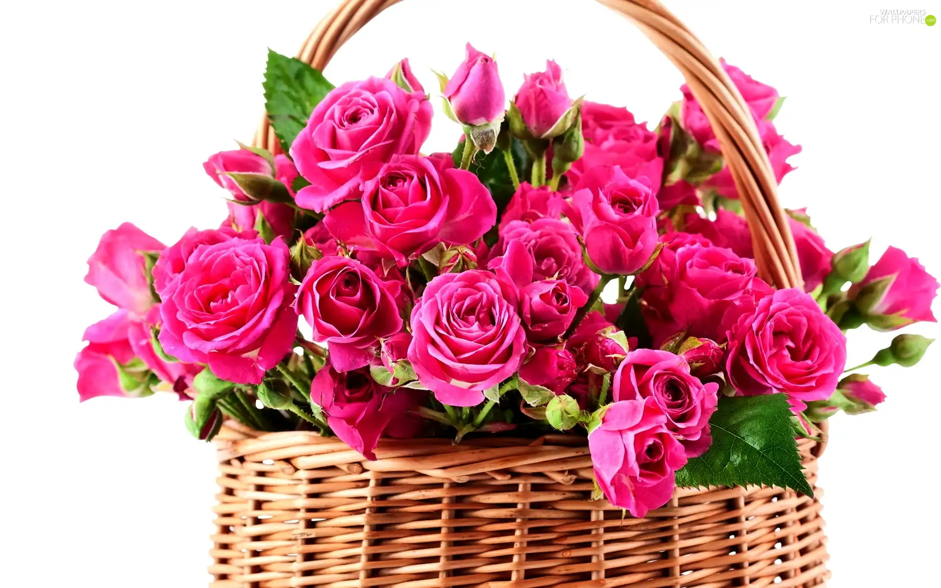 basket, Pink, roses - For phone wallpapers: 1920x1200