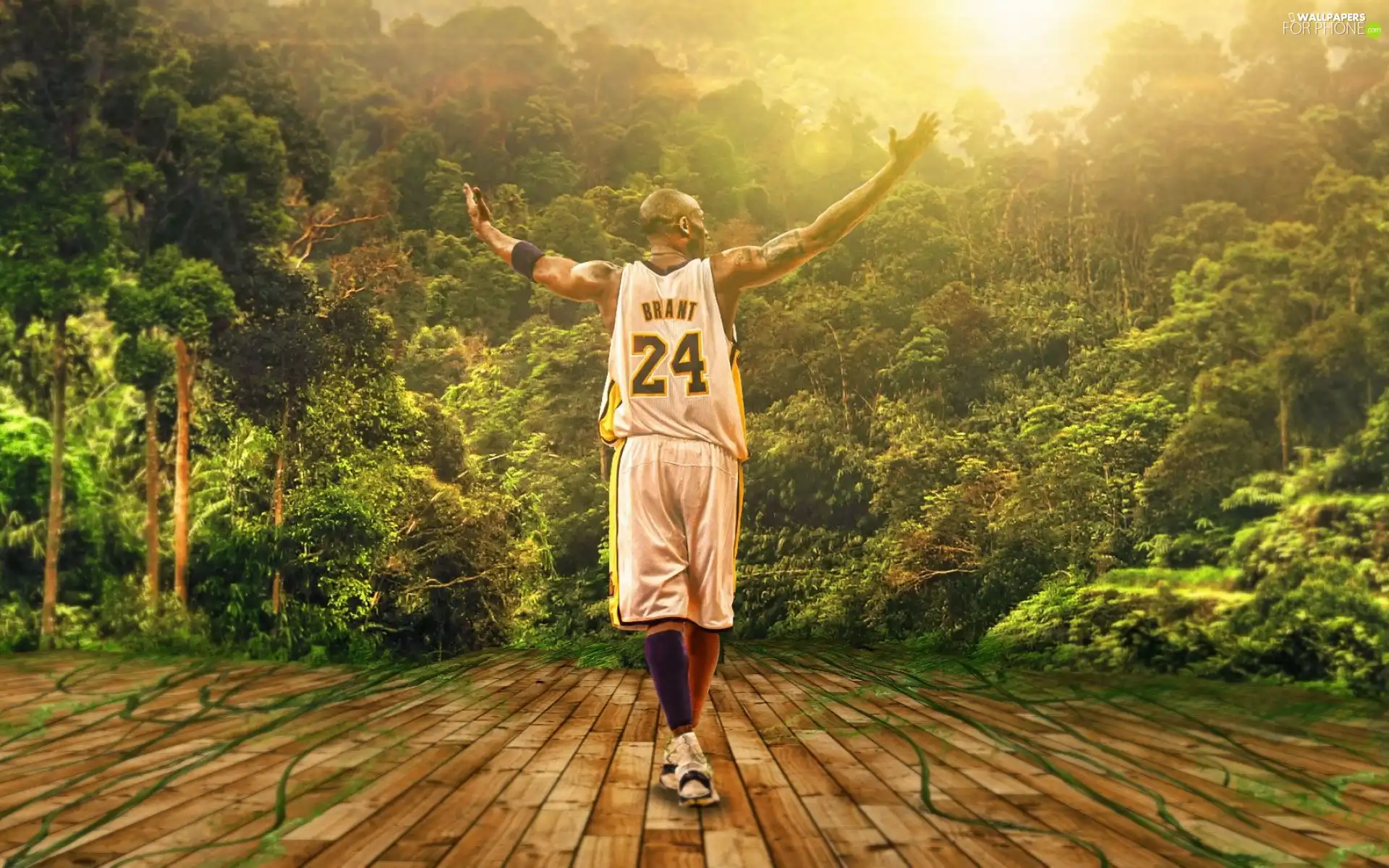 Kobe Bryant, jungle, basketball
