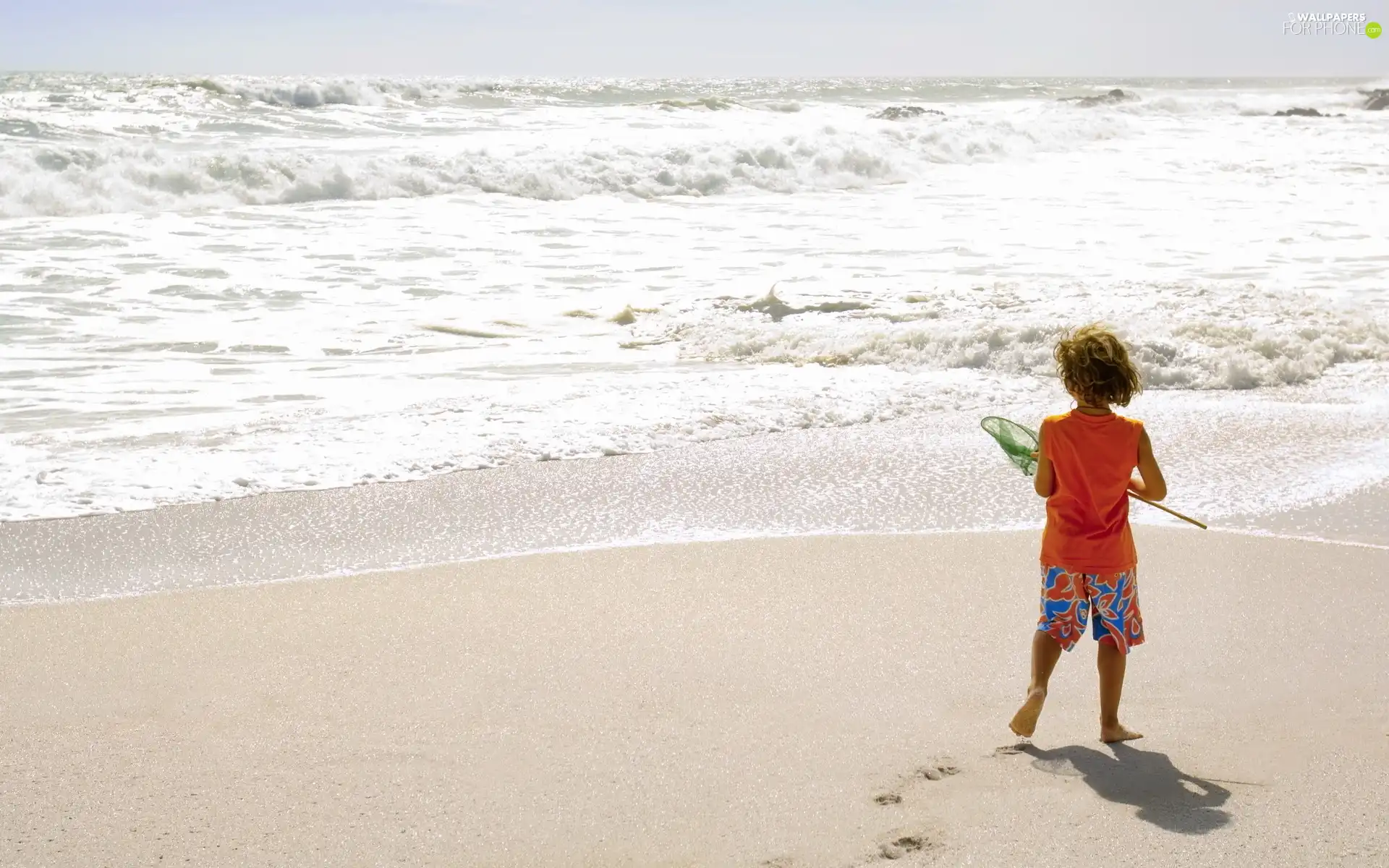 boy, sea, Beaches, net