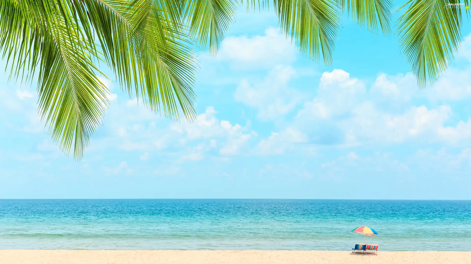 Beaches, sea, deck chair, Umbrella, Palms, holiday, clouds, Leaf, Sky