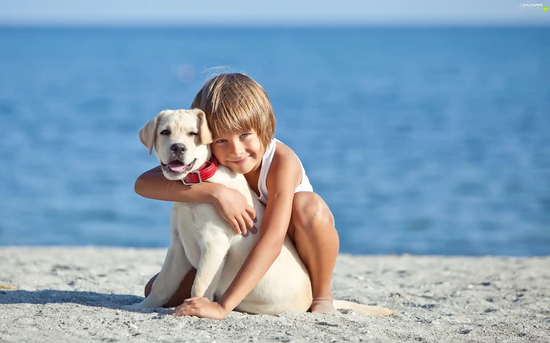 Beaches, water, Puppy, Labrador Retriever, Kid