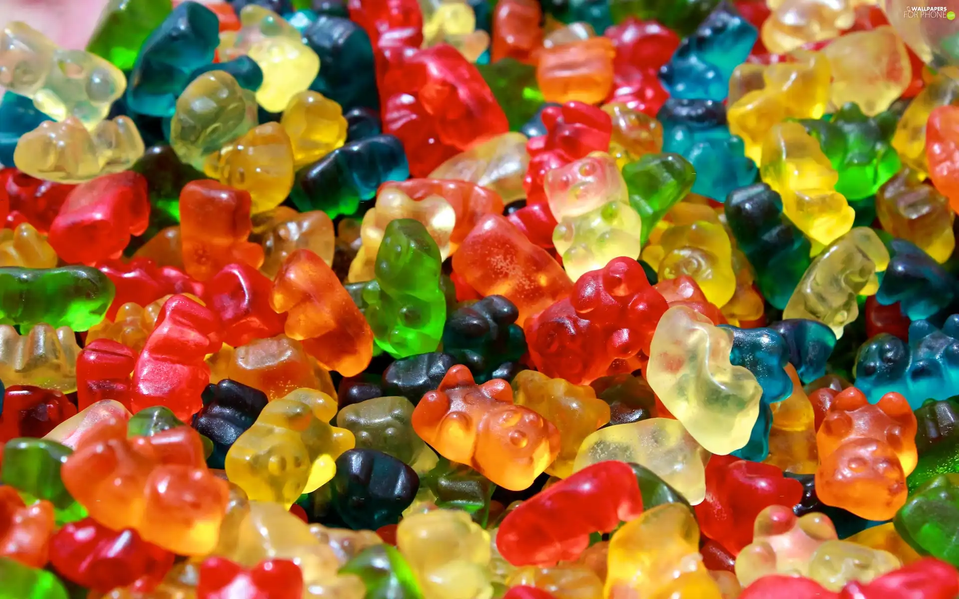 jellies, bear
