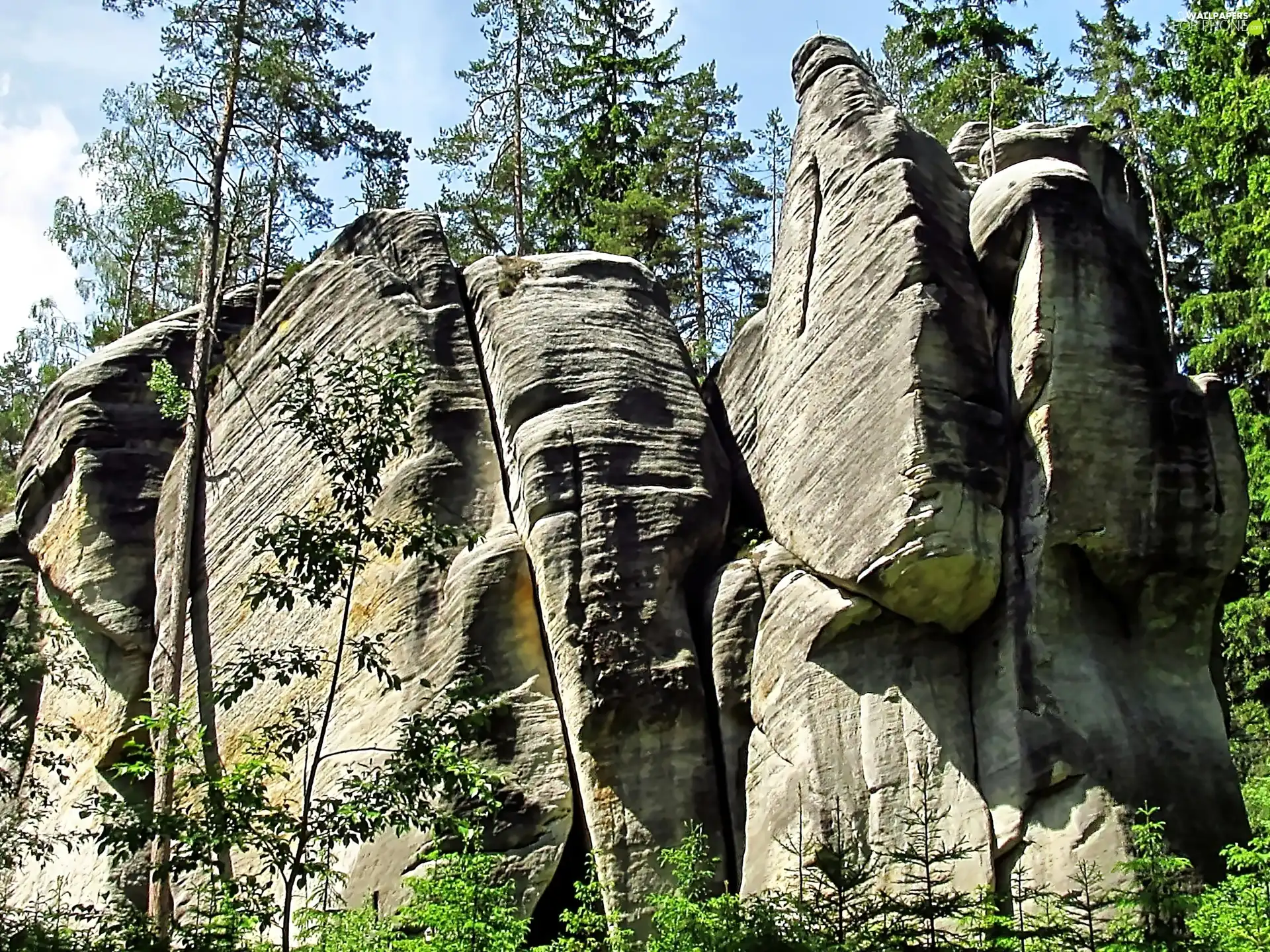 Town, rocks, Adrspach, bed-rock, Czech Republic