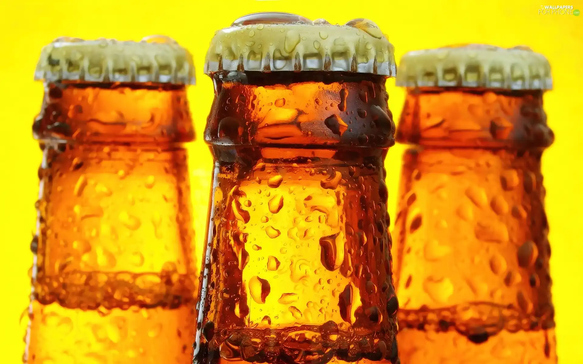 Beer, Necks, bottles